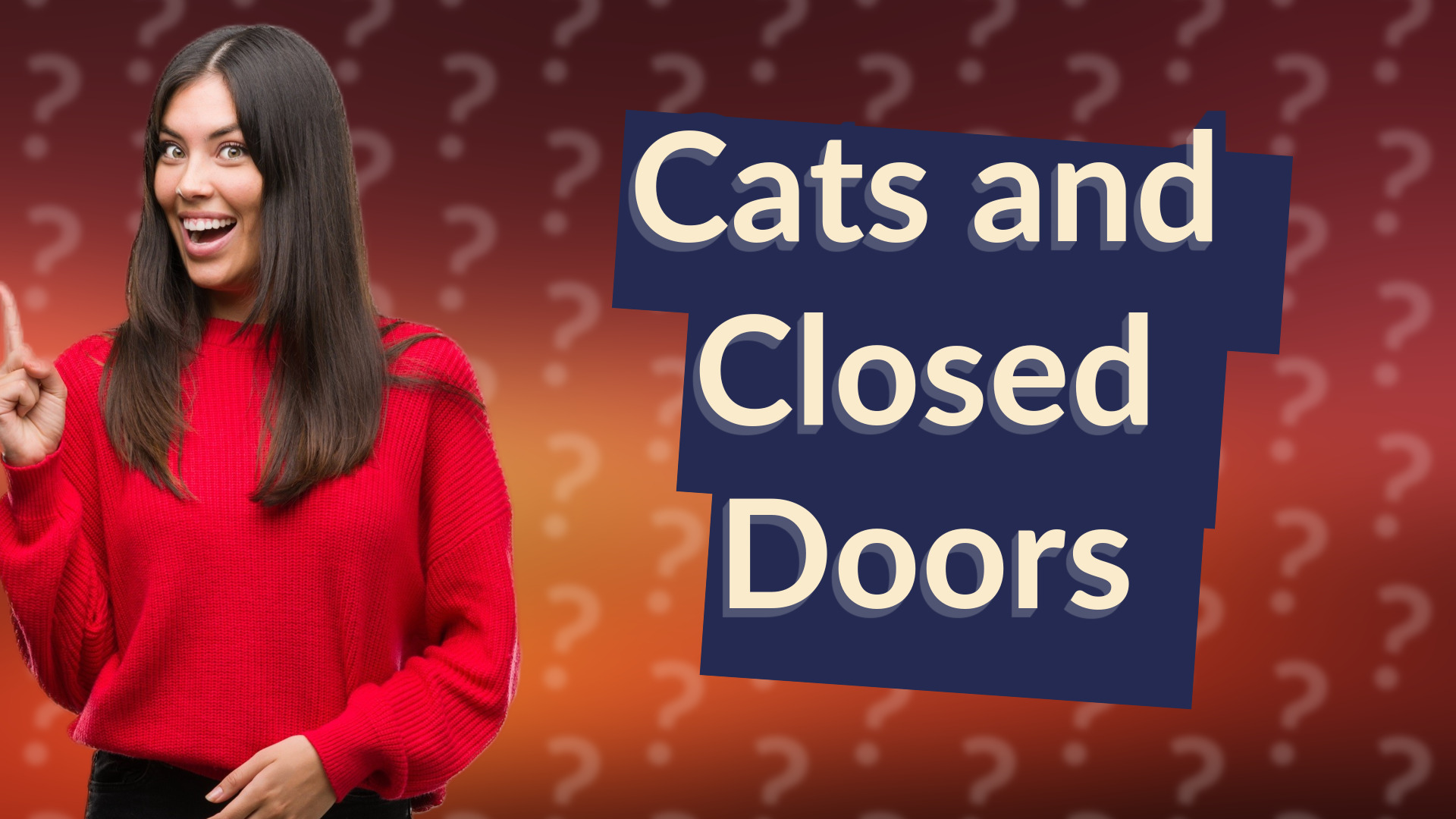 Cats and Closed Doors
