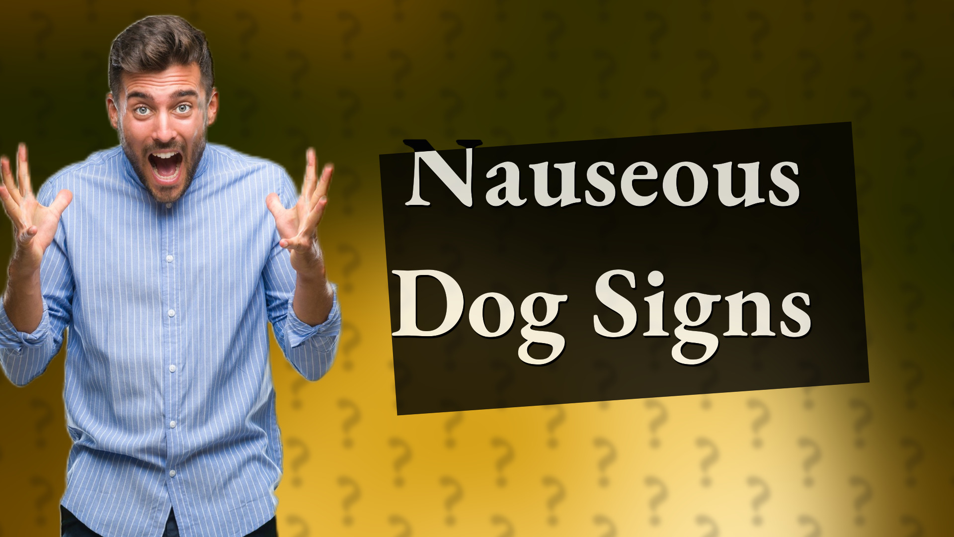 Nauseous Dog Signs