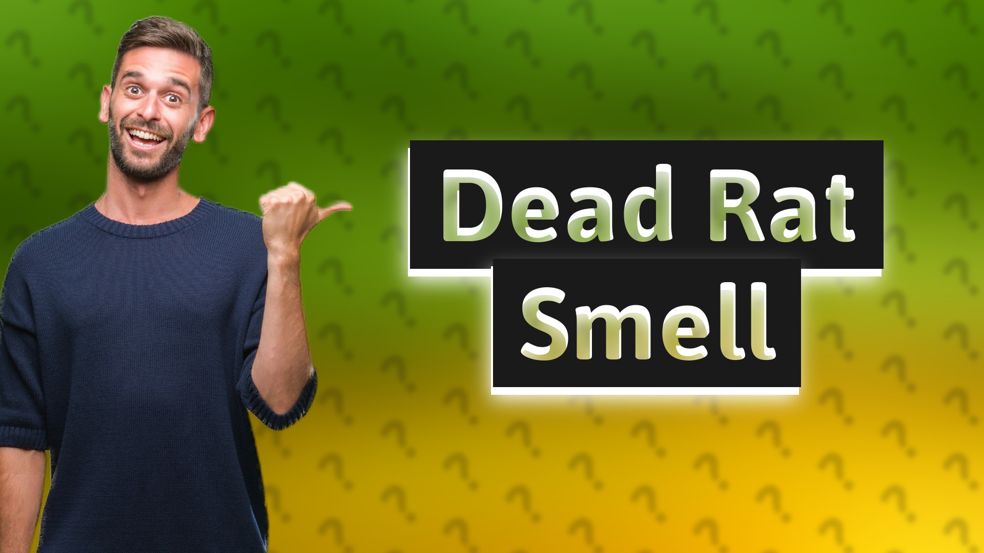 Dead Rat Smell