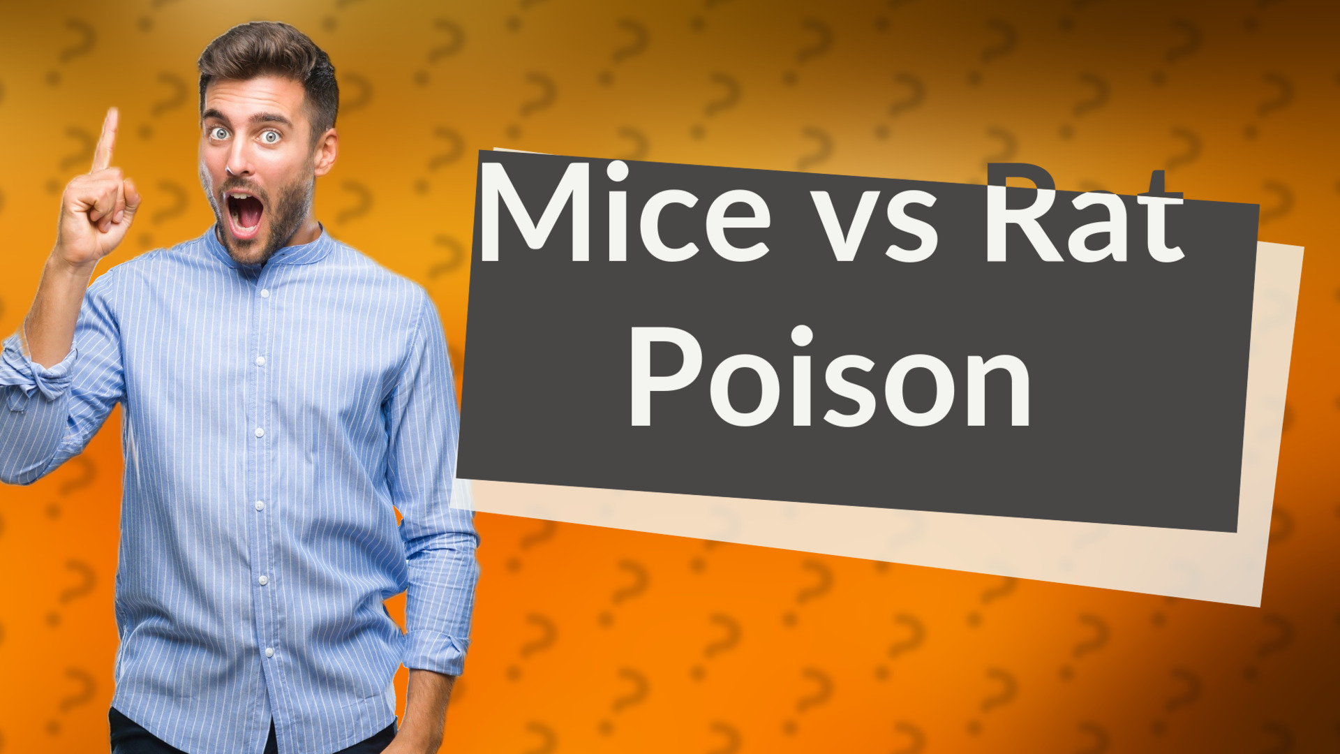 Mice vs Rat Poison