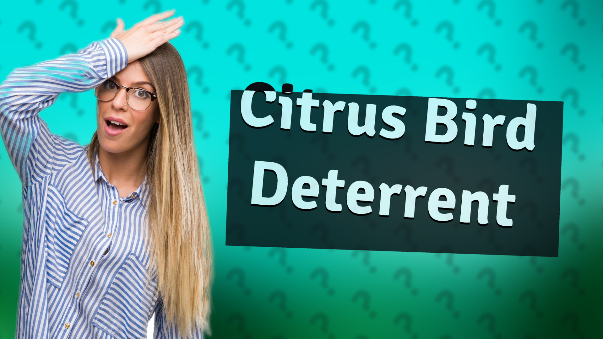 Citrus Bird Deterrent