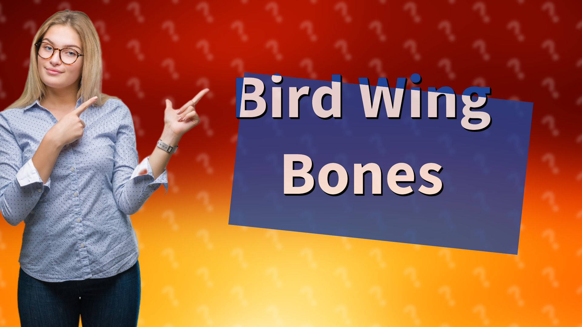 Bird Wing Bones