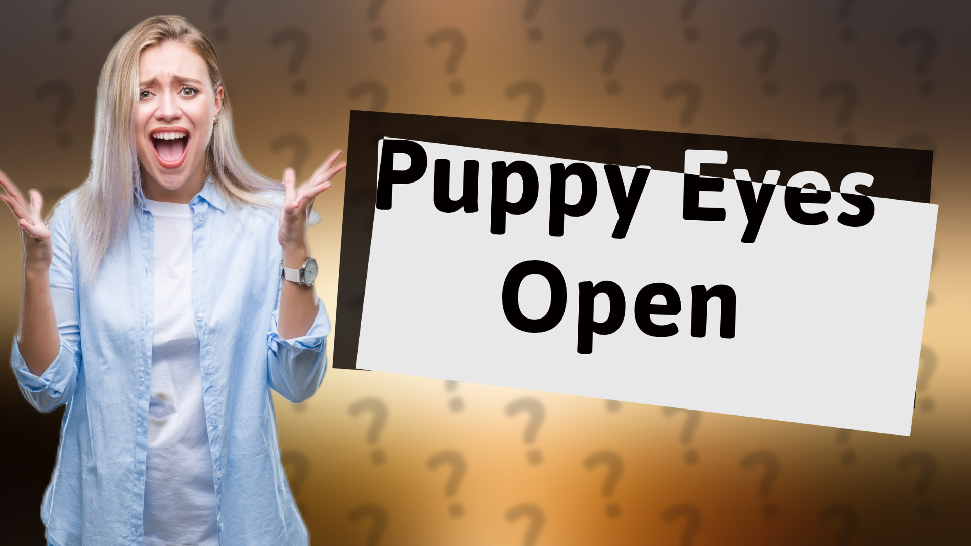 Puppy Eyes Open