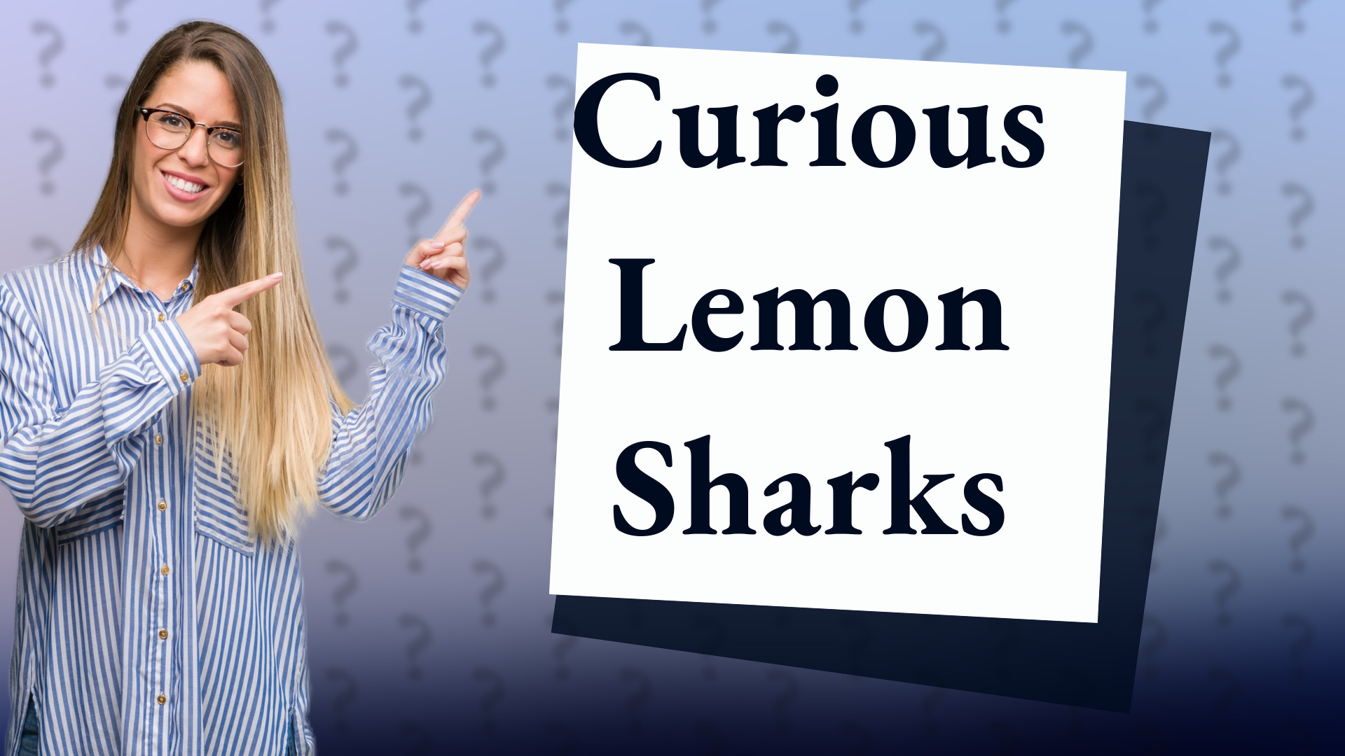 Curious Lemon Sharks