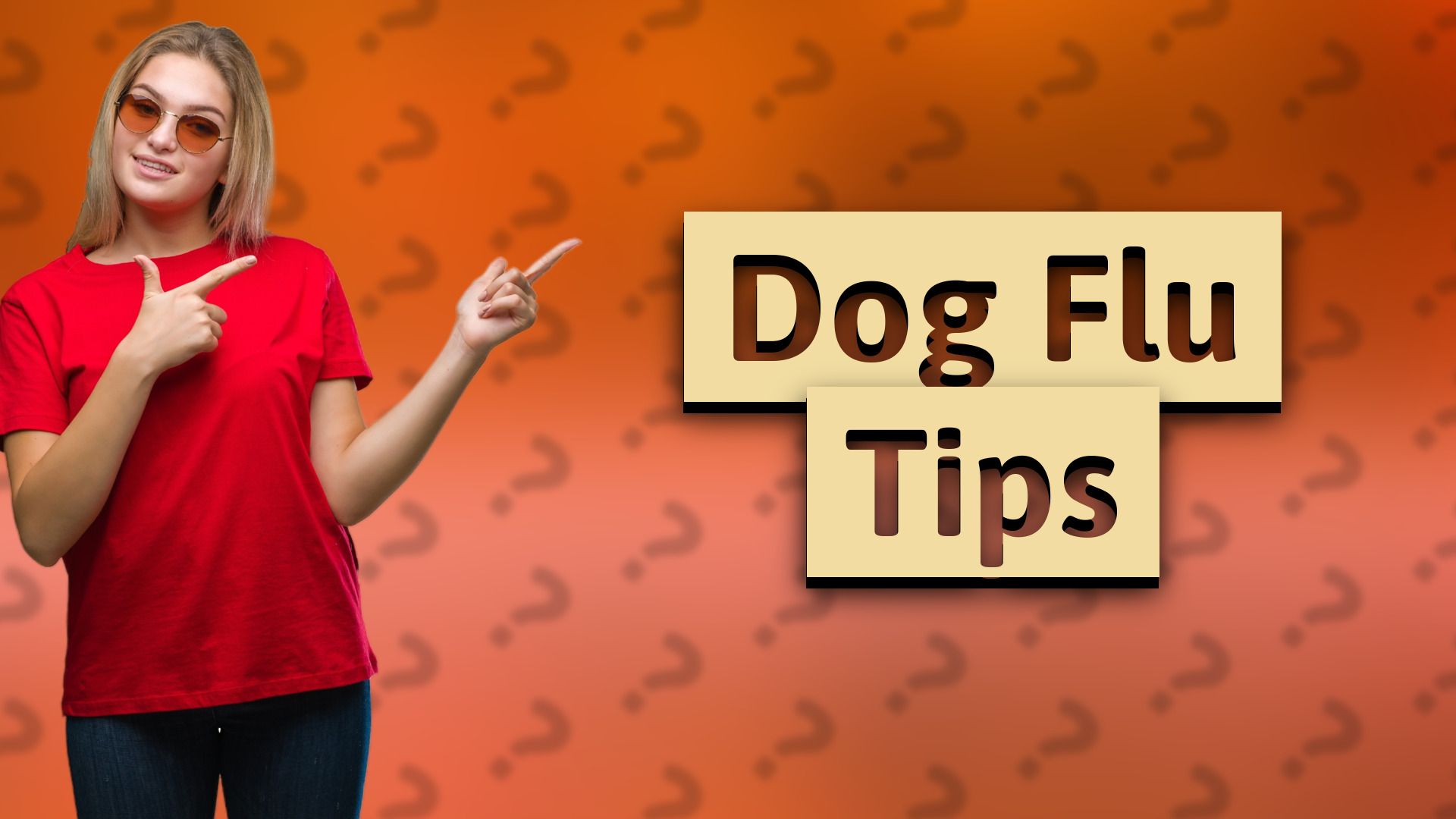 Dog Flu Tips