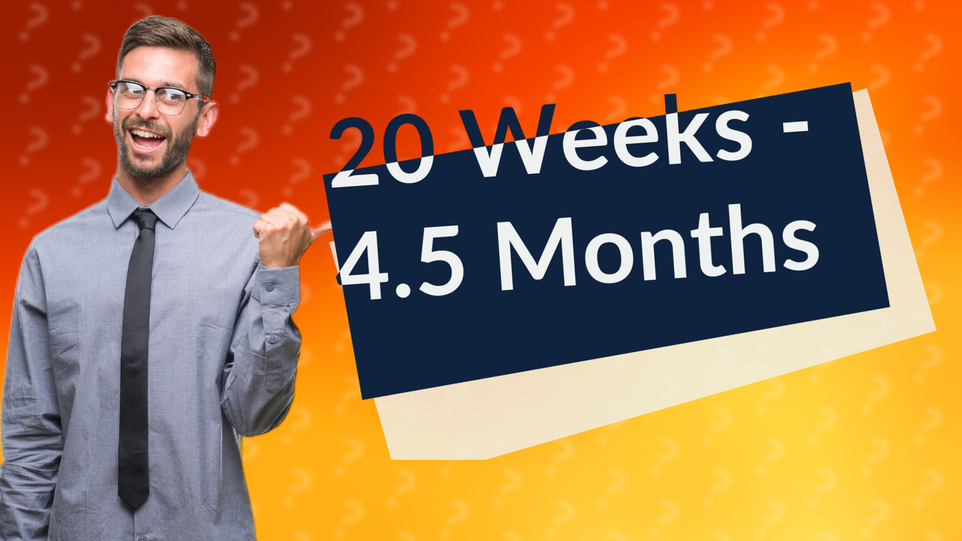 20 Weeks - 4.5 Months