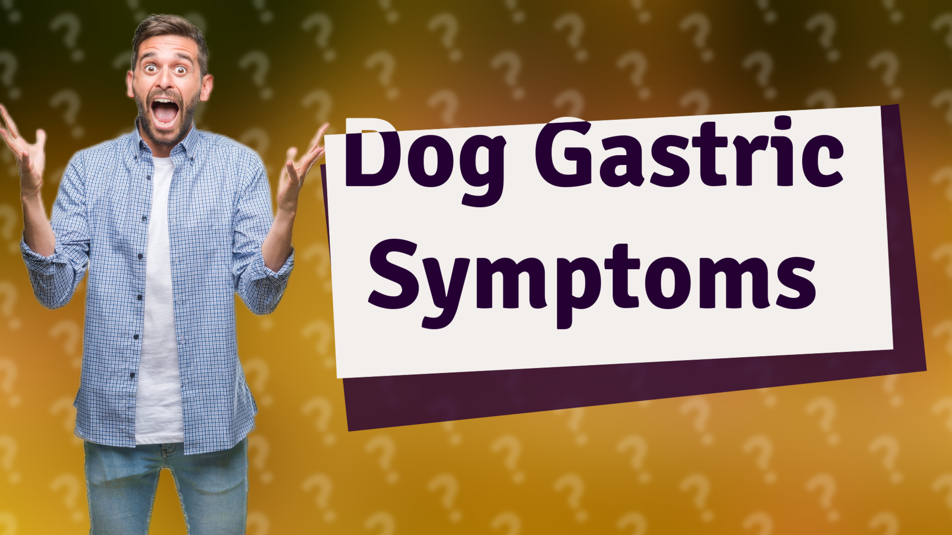 Dog Gastric Symptoms