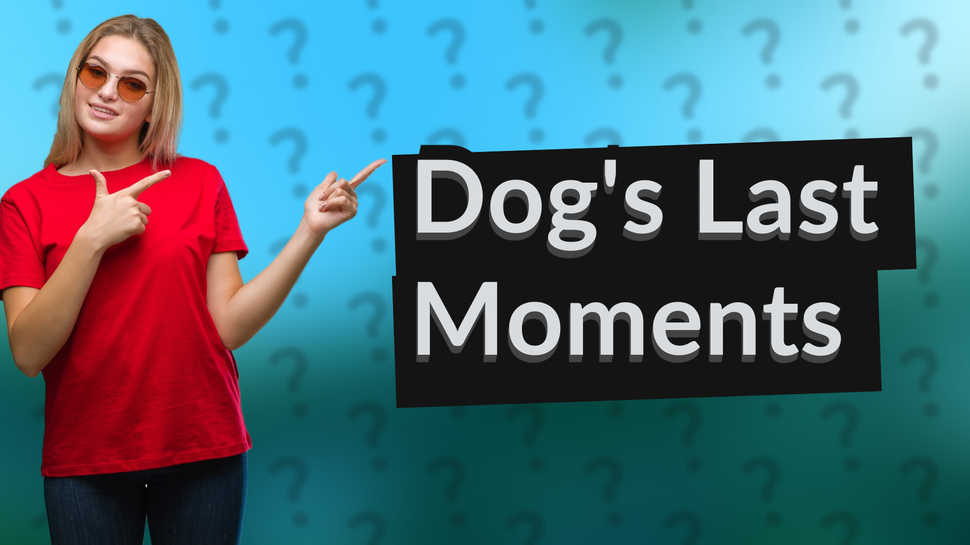 Dog's Last Moments
