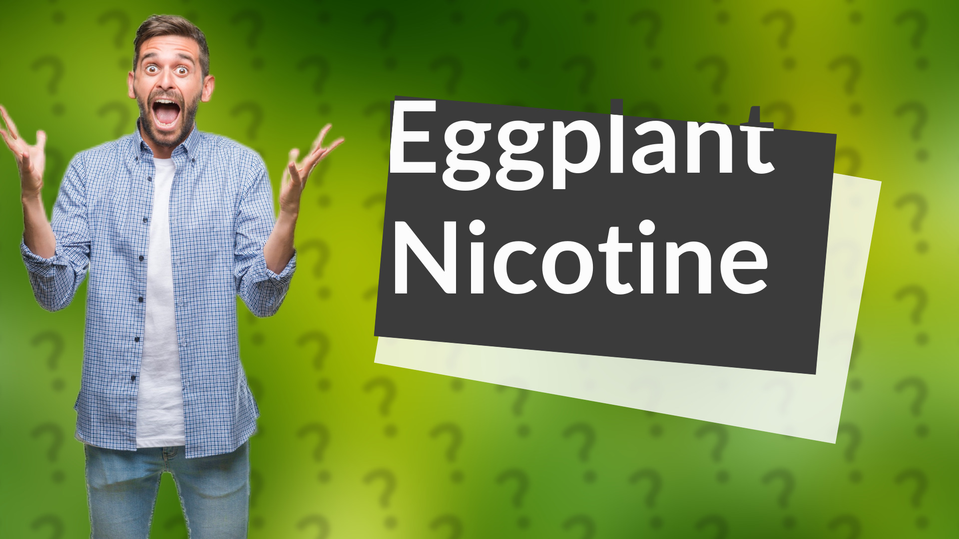 Eggplant Nicotine