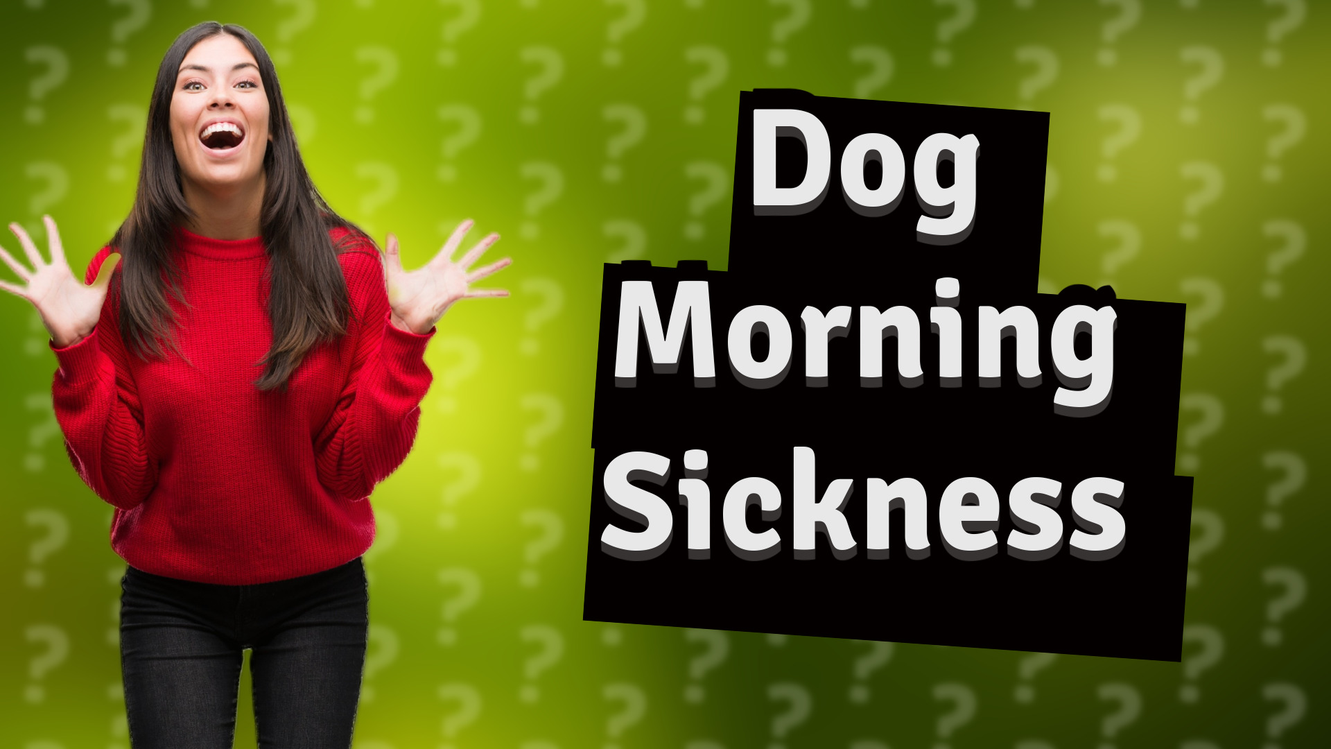 Dog Morning Sickness