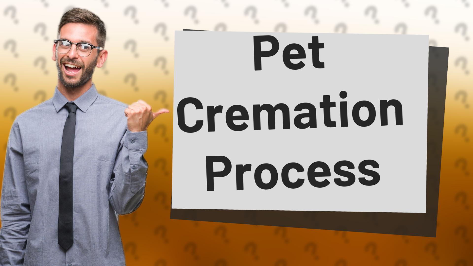Pet Cremation Process