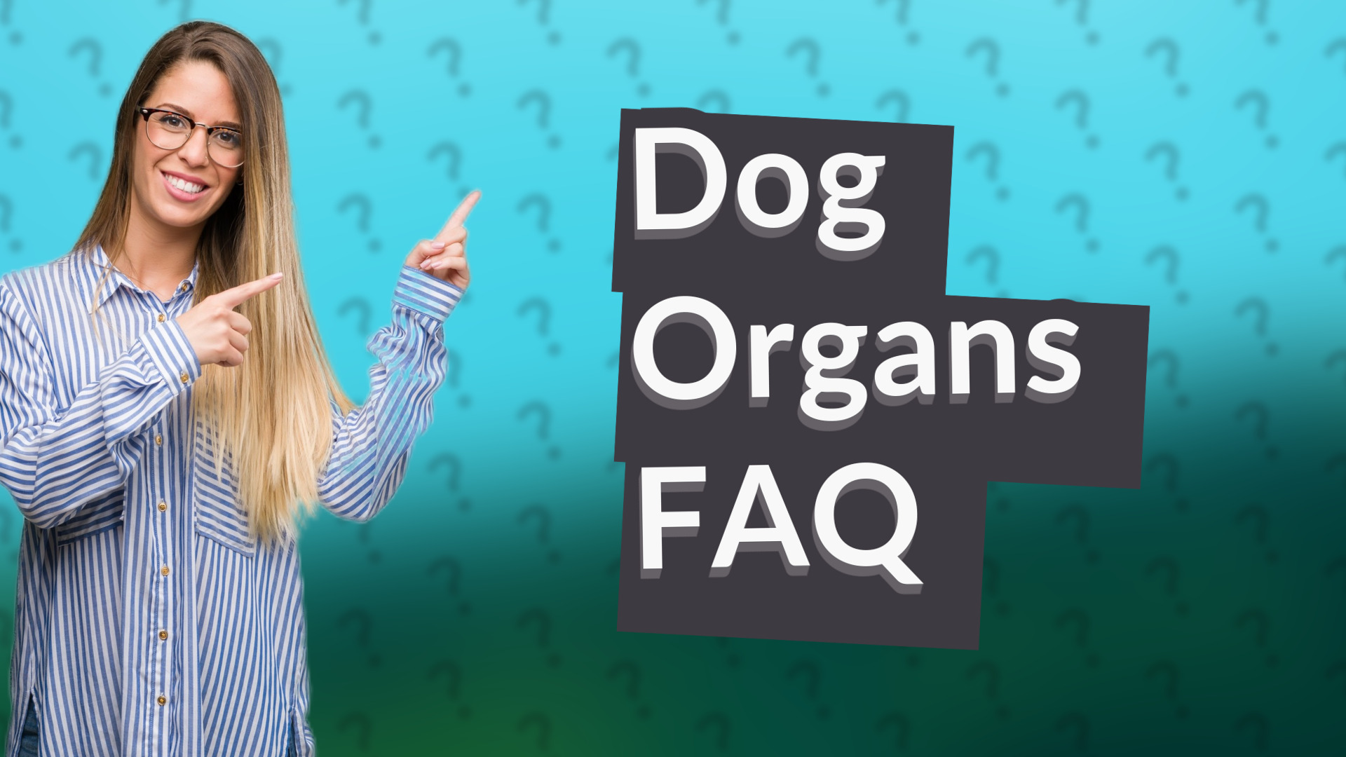 Dog Organs FAQ