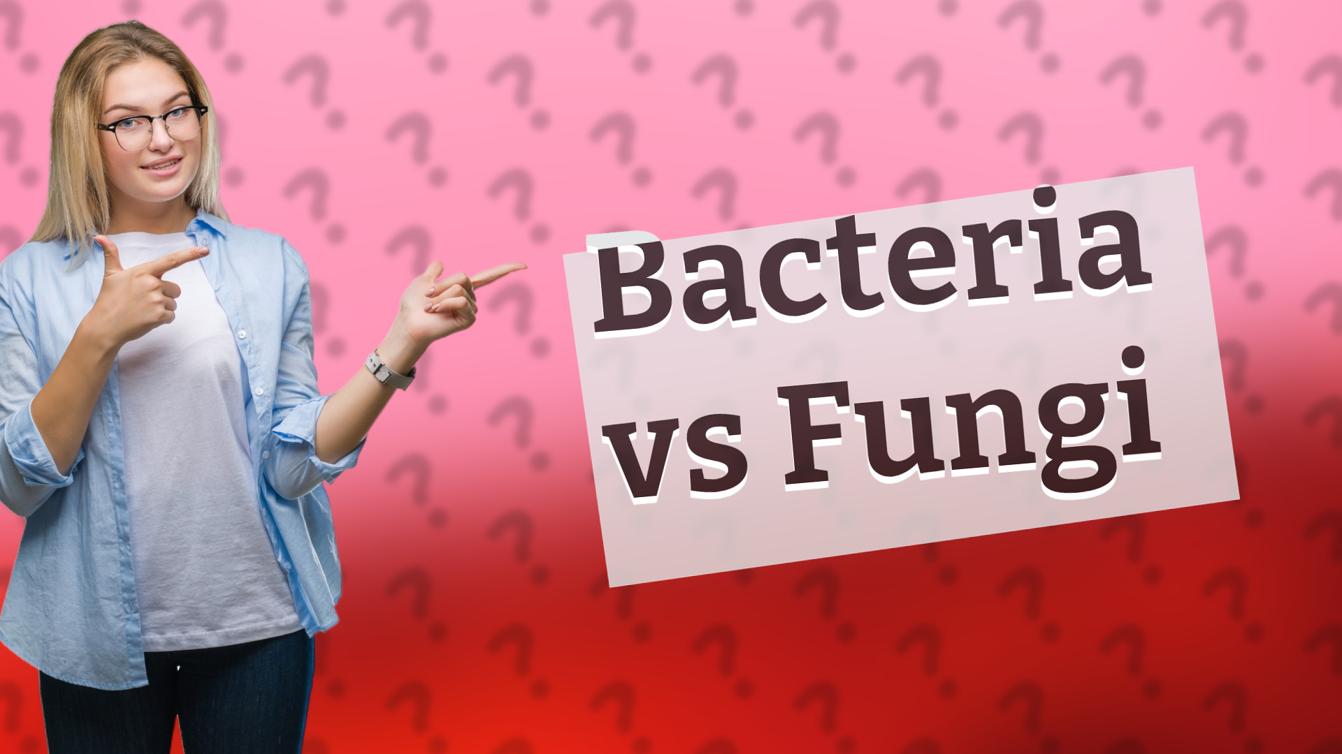 Bacteria vs Fungi