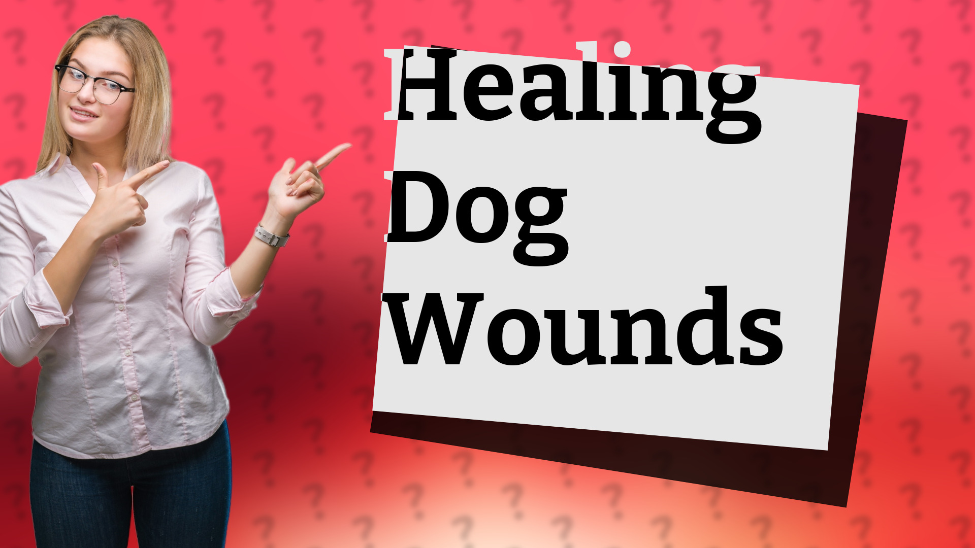 Healing Dog Wounds