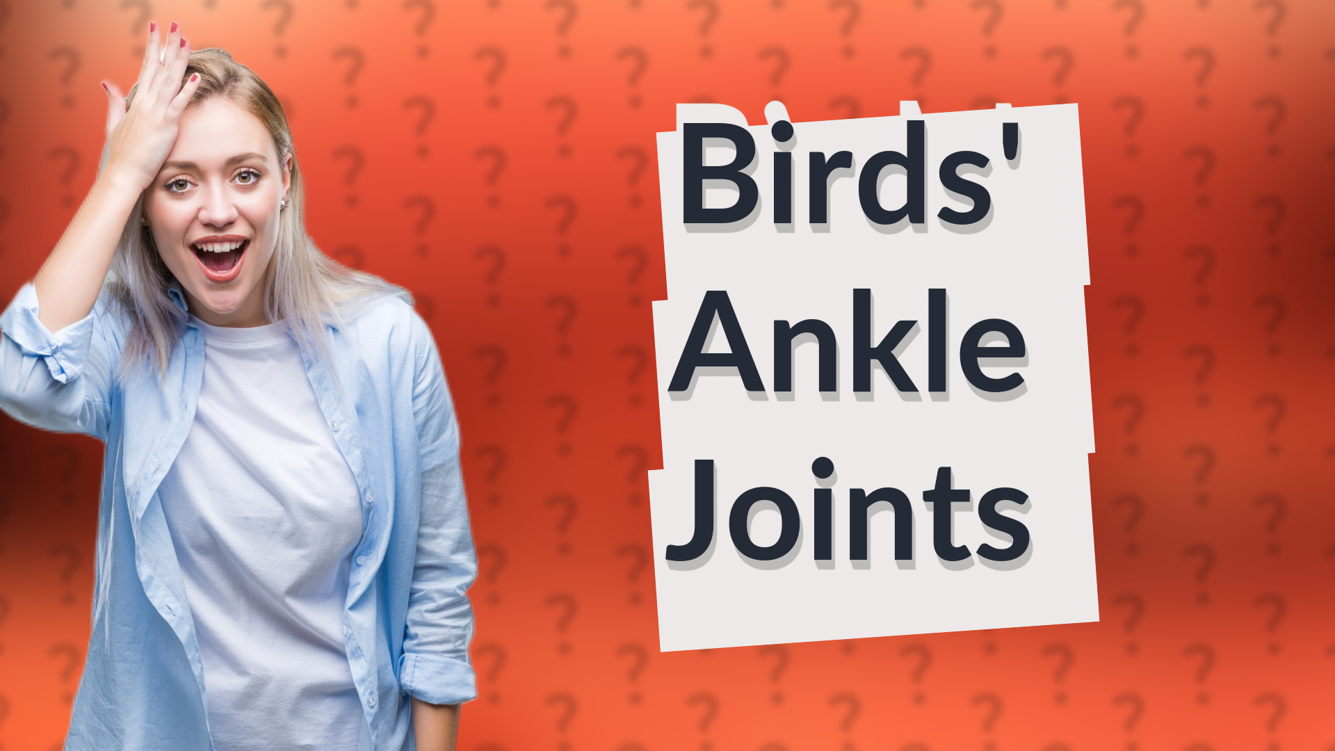Birds' Ankle Joints
