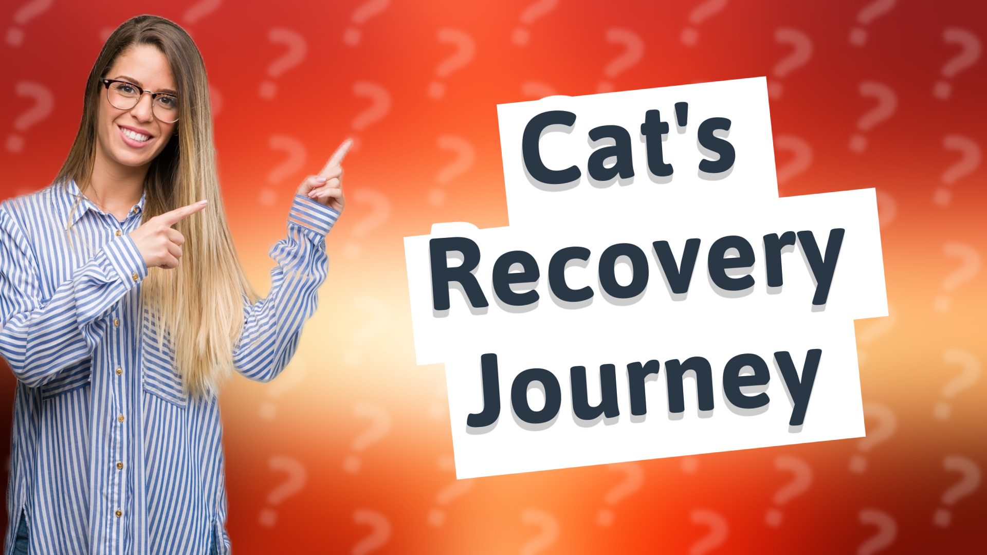 Cat's Recovery Journey