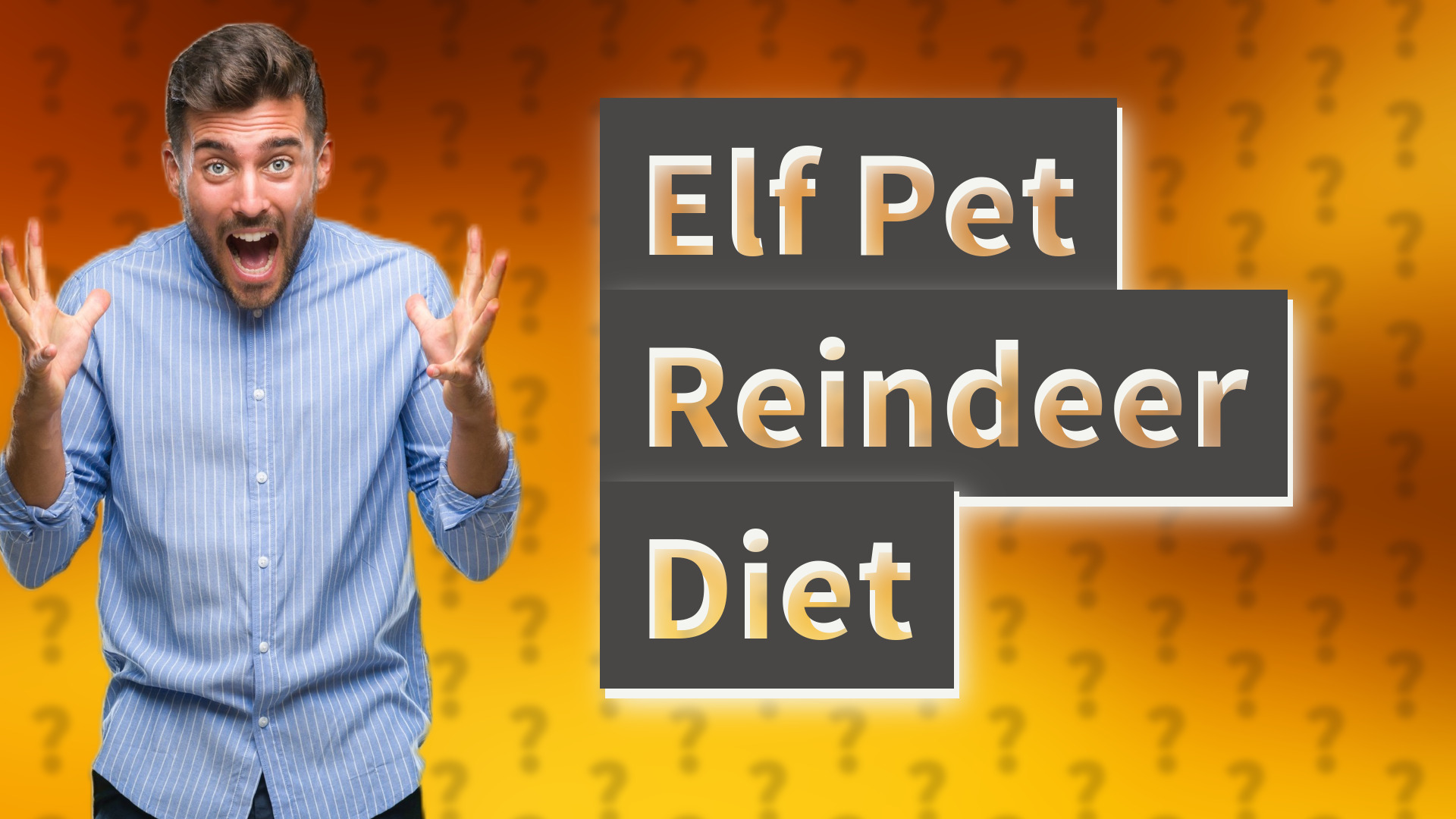 Elf Pet Reindeer Diet
