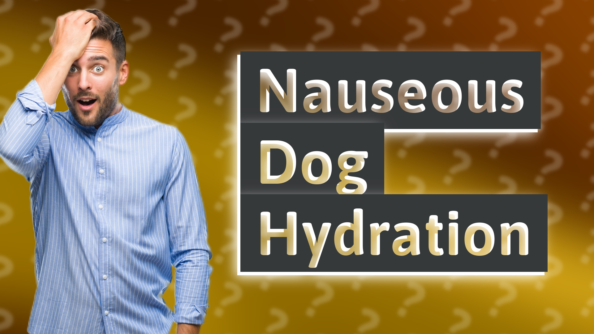 Nauseous Dog Hydration