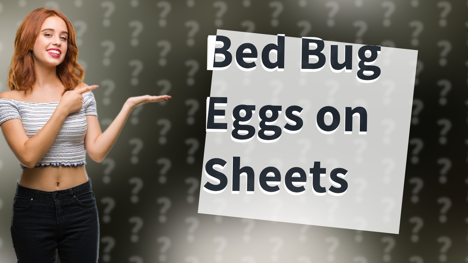 Bed Bug Eggs on Sheets