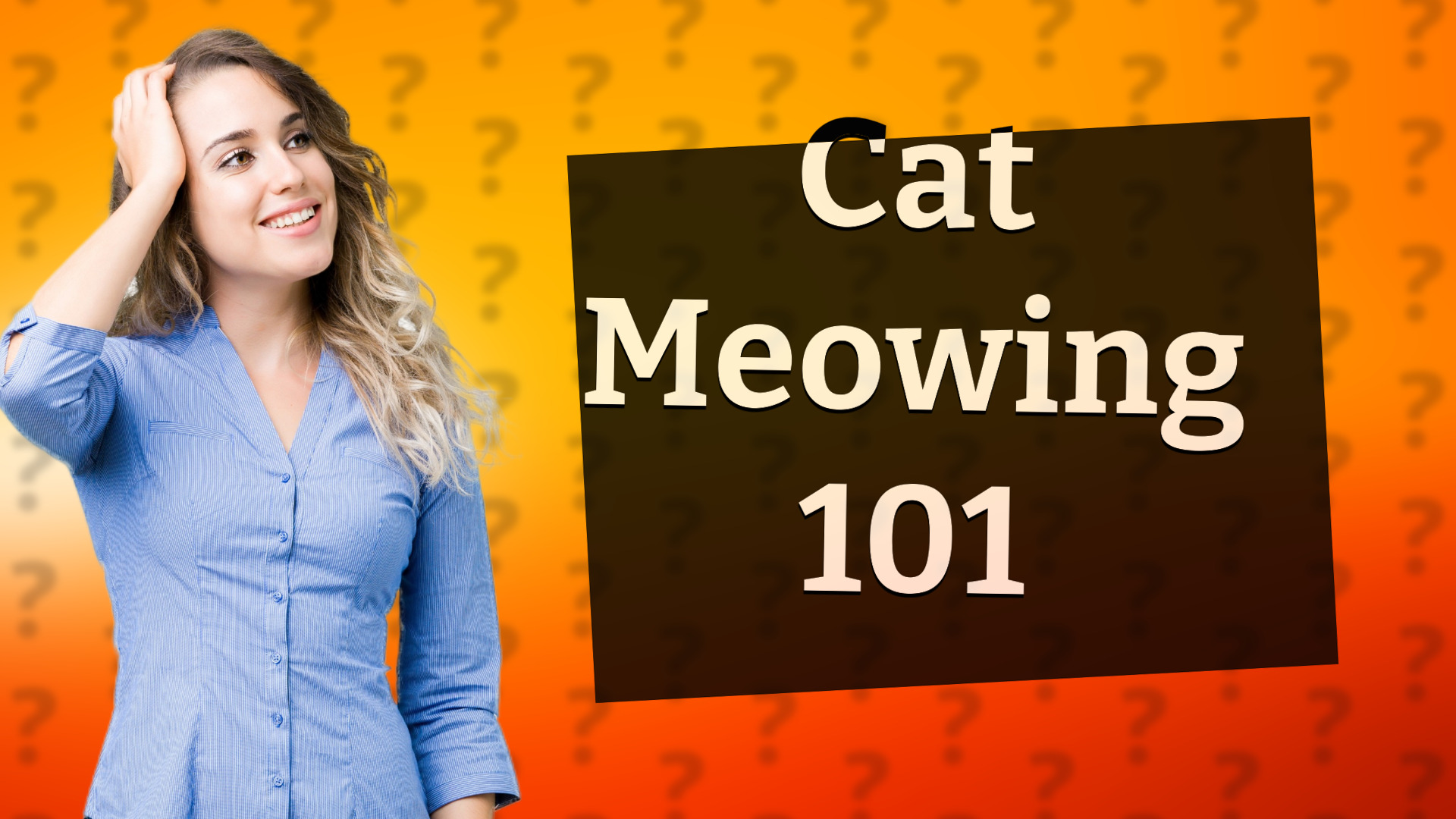 Cat Meowing 101