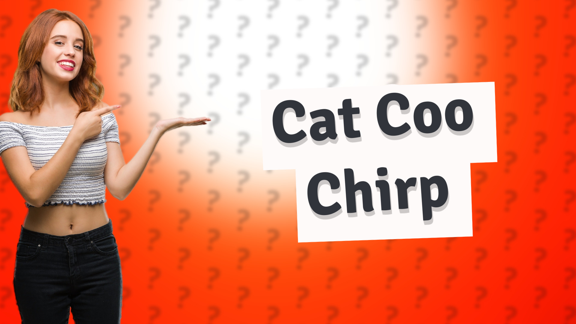 Cat Coo Chirp