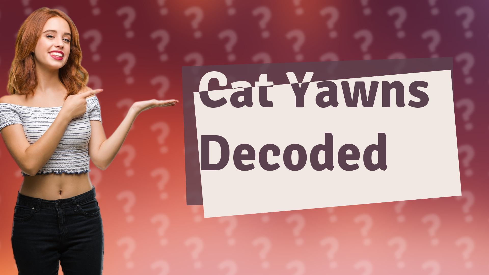 Cat Yawns Decoded