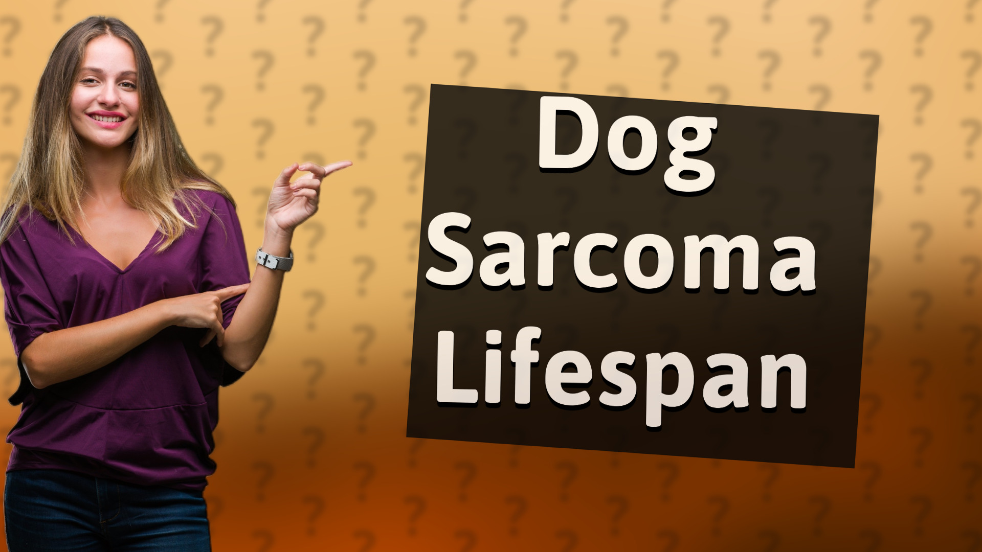 Dog Sarcoma Lifespan