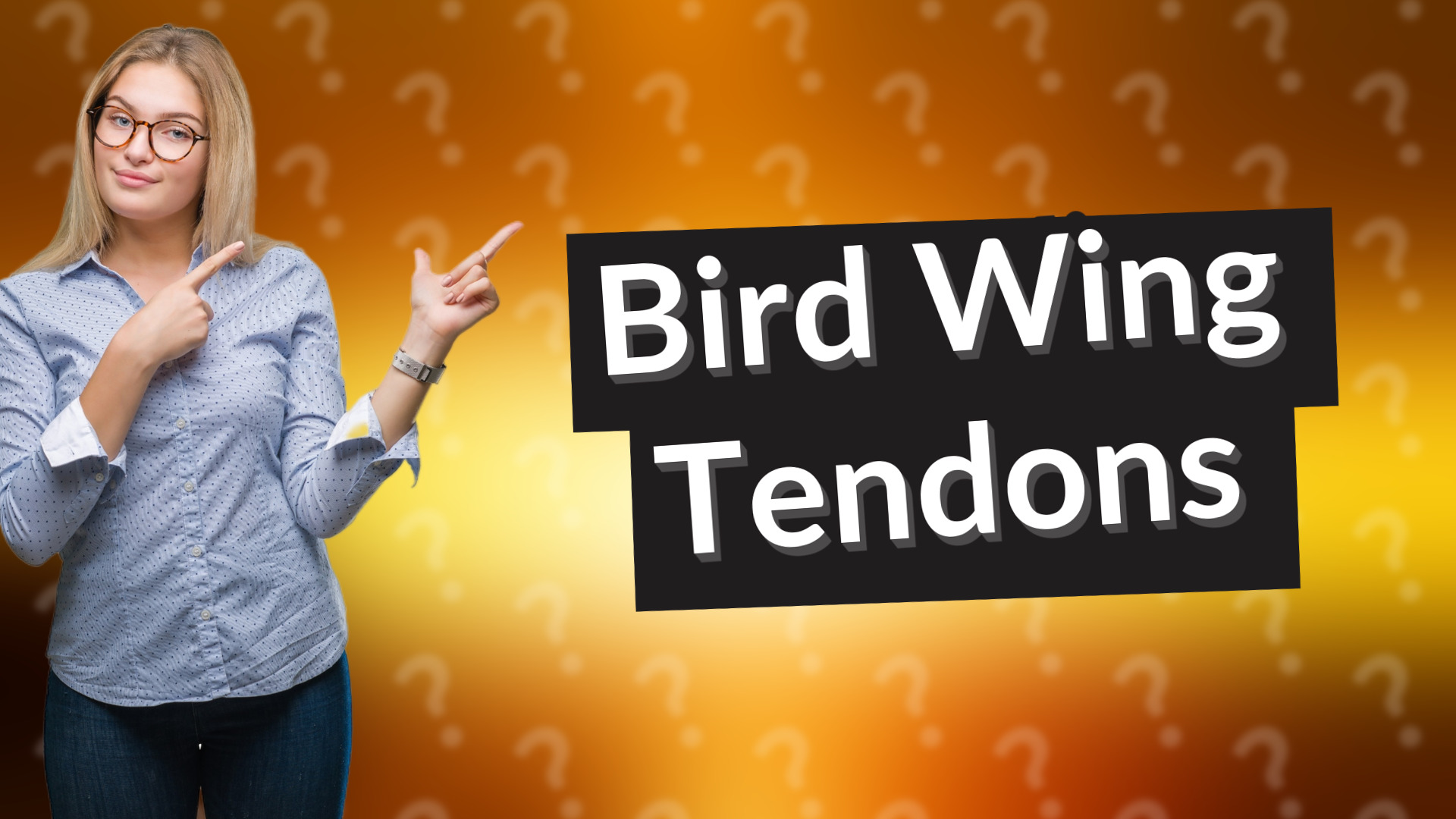 Bird Wing Tendons