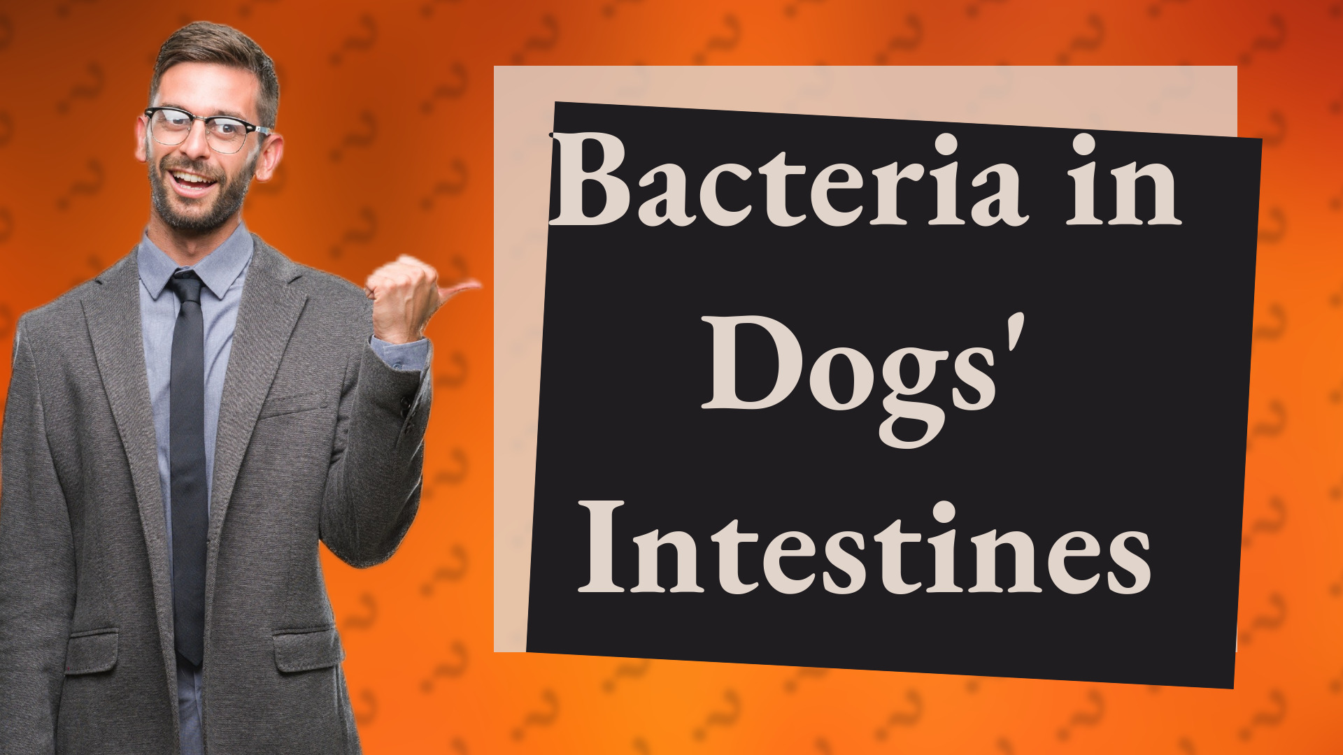 Bacteria in Dogs' Intestines