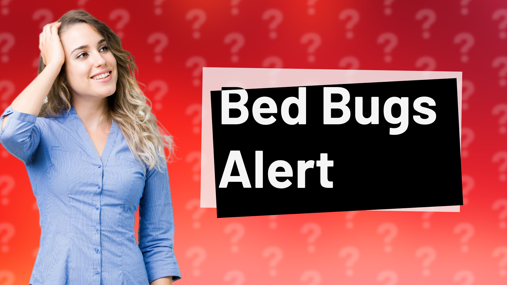 Bed Bugs Alert