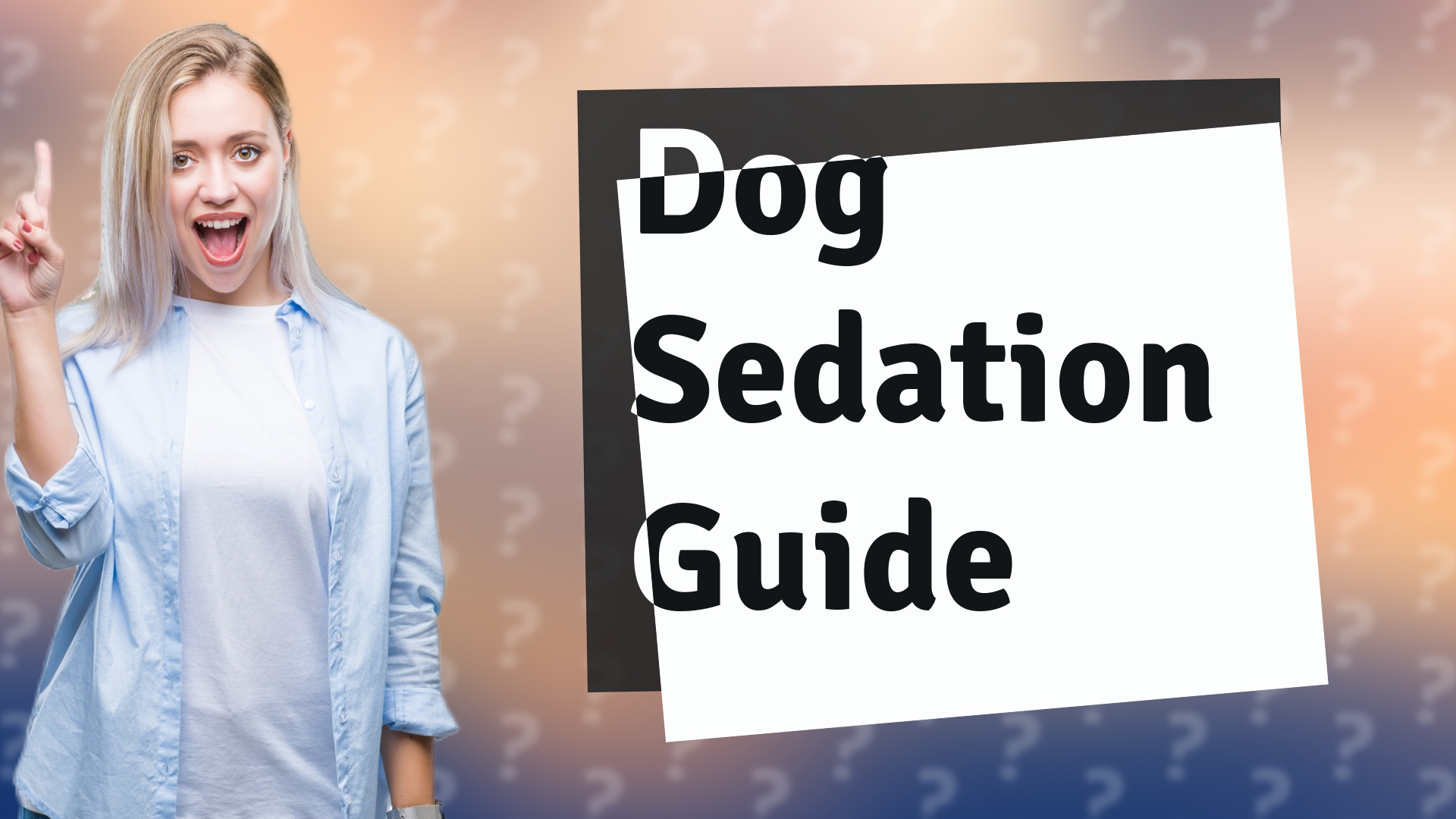 Dog Sedation Guide
