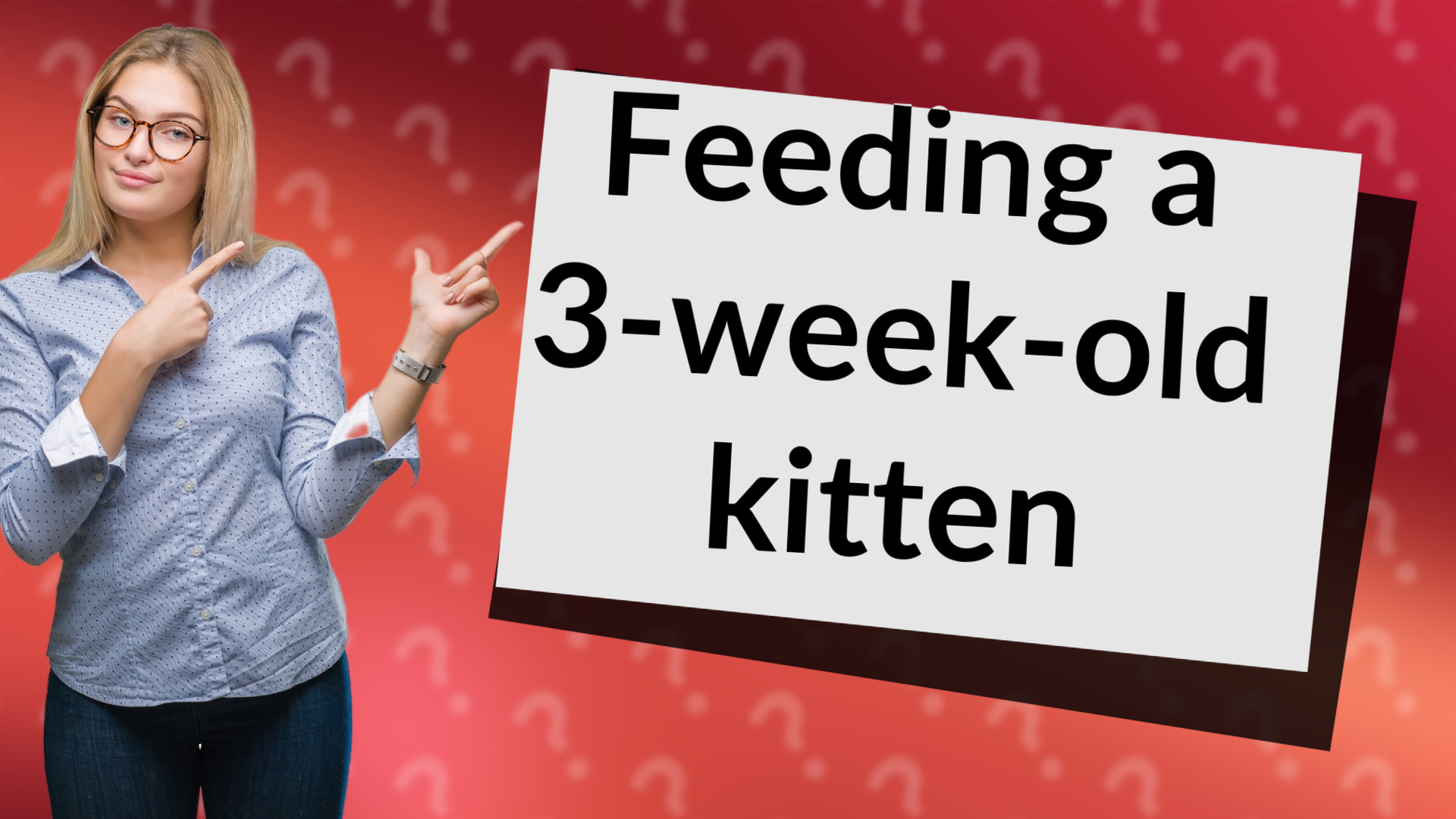 Feeding a 3-week-old kitten