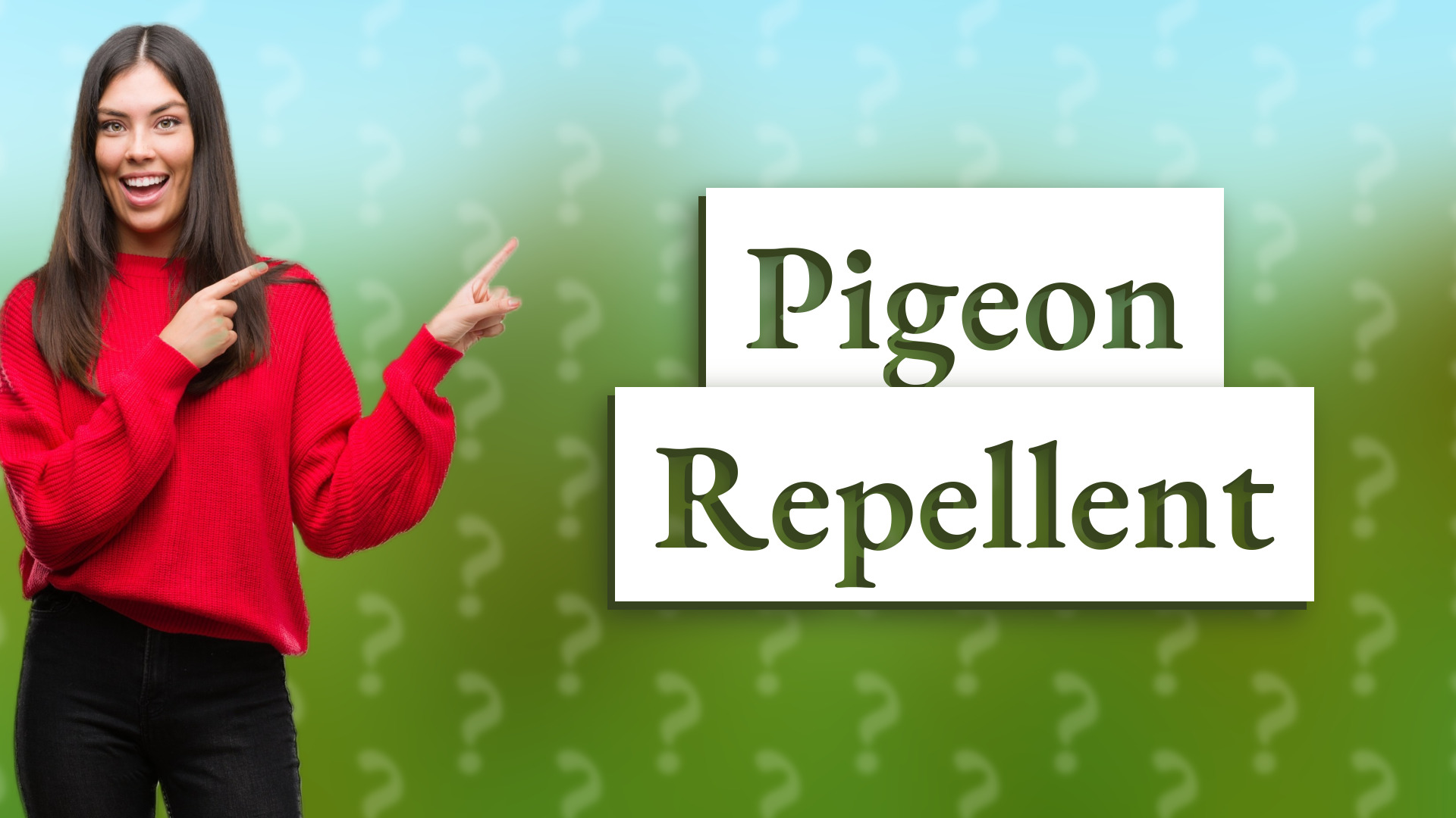 Pigeon Repellent
