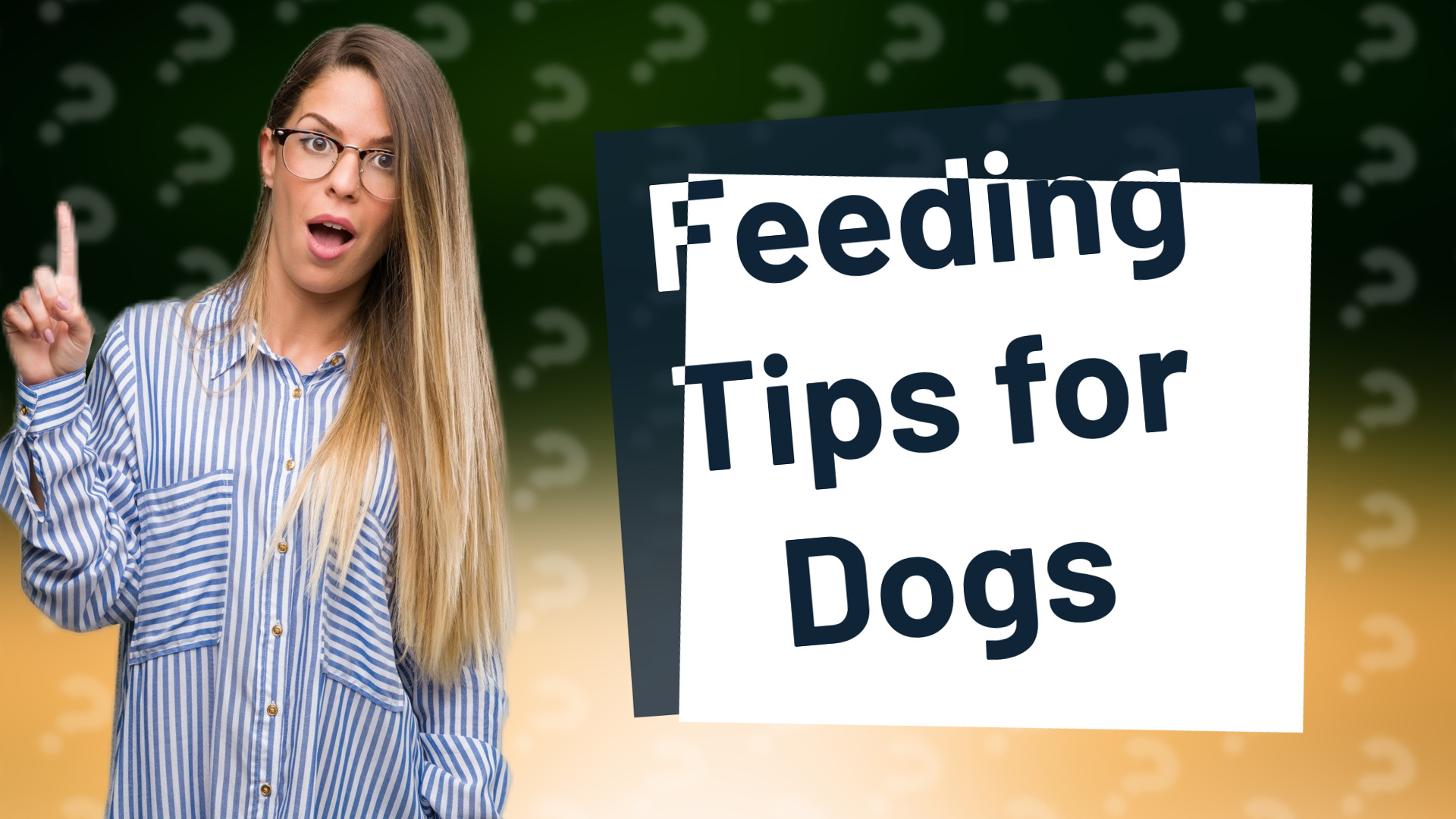 Feeding Tips for Dogs