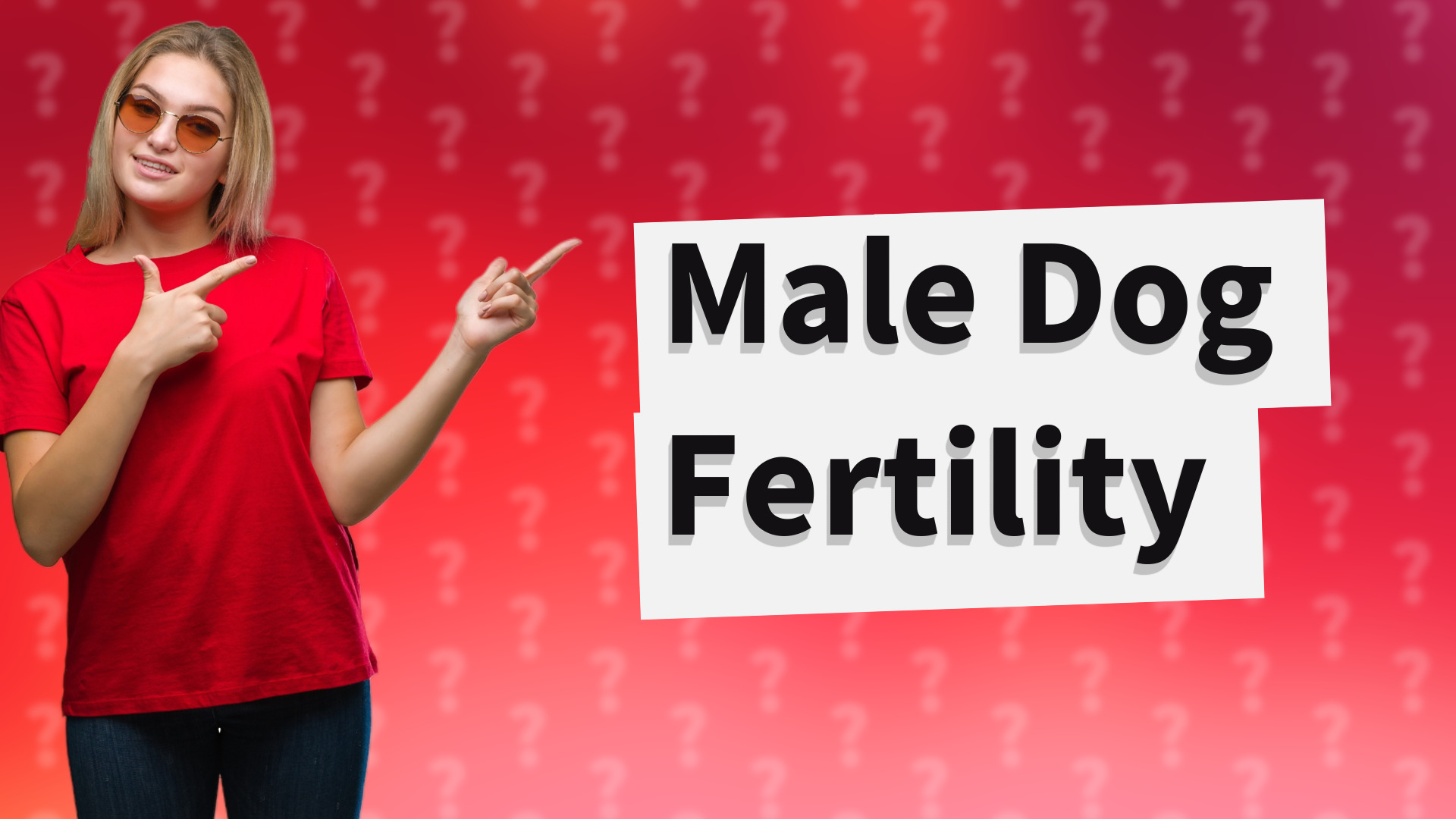 Male Dog Fertility