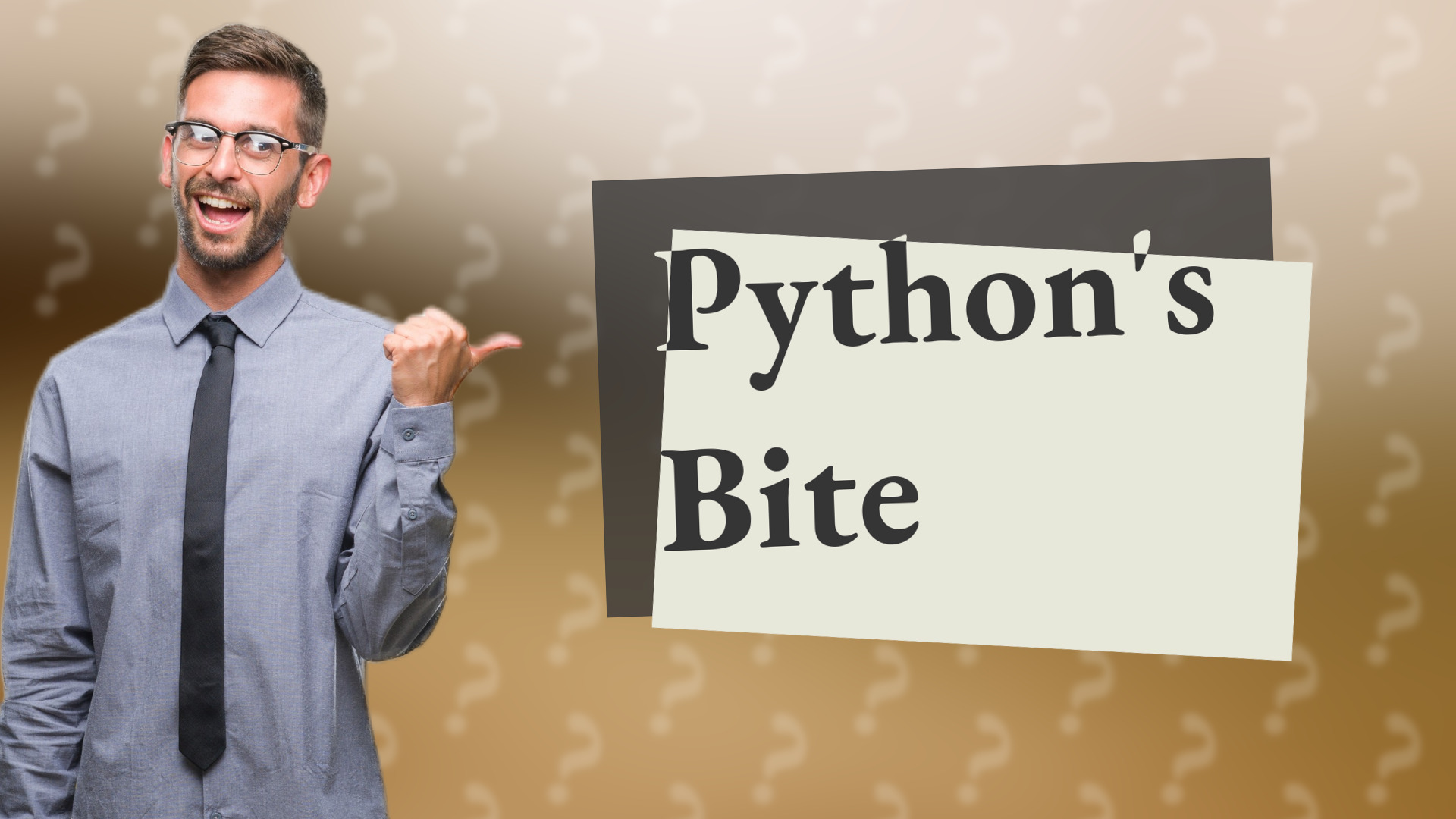 Python's Bite