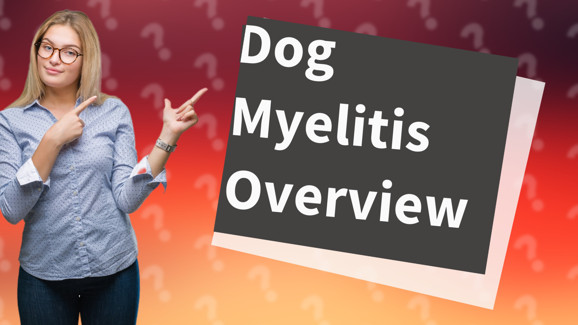 Dog Myelitis Overview