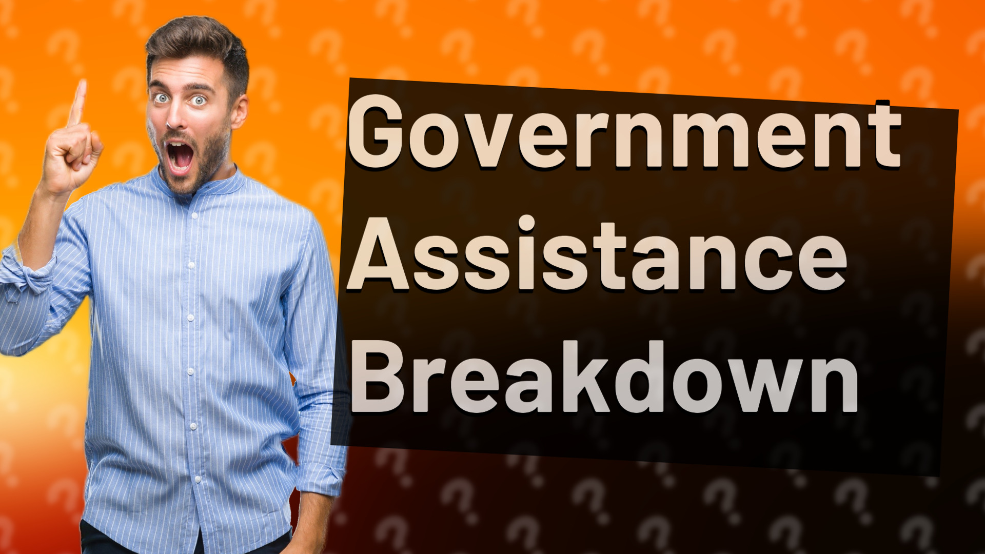 Government Assistance Breakdown