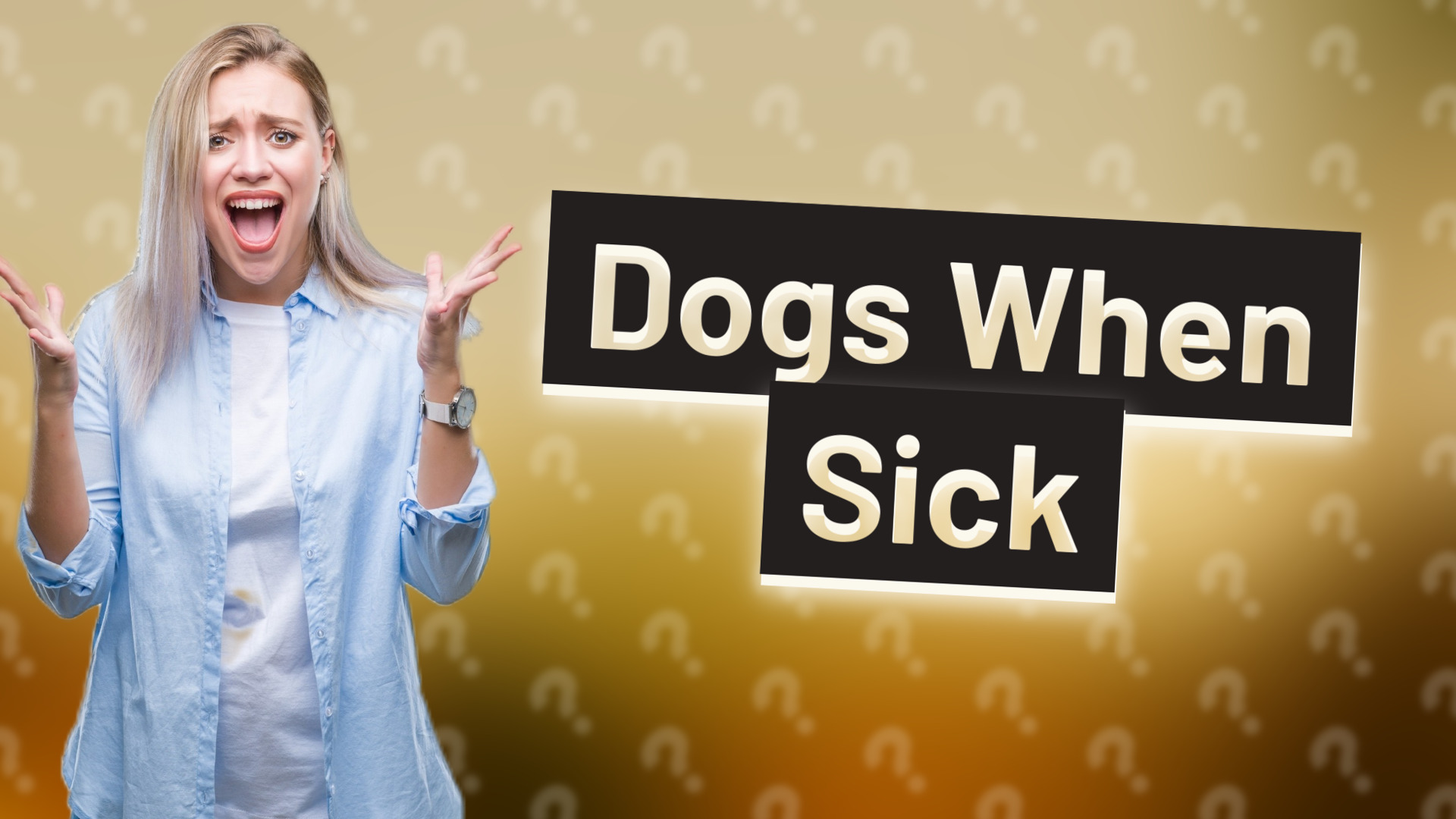 Dogs When Sick