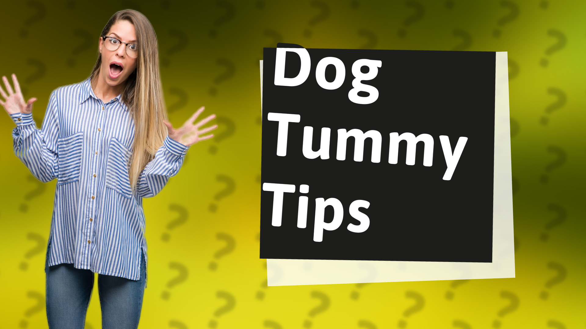Dog Tummy Tips
