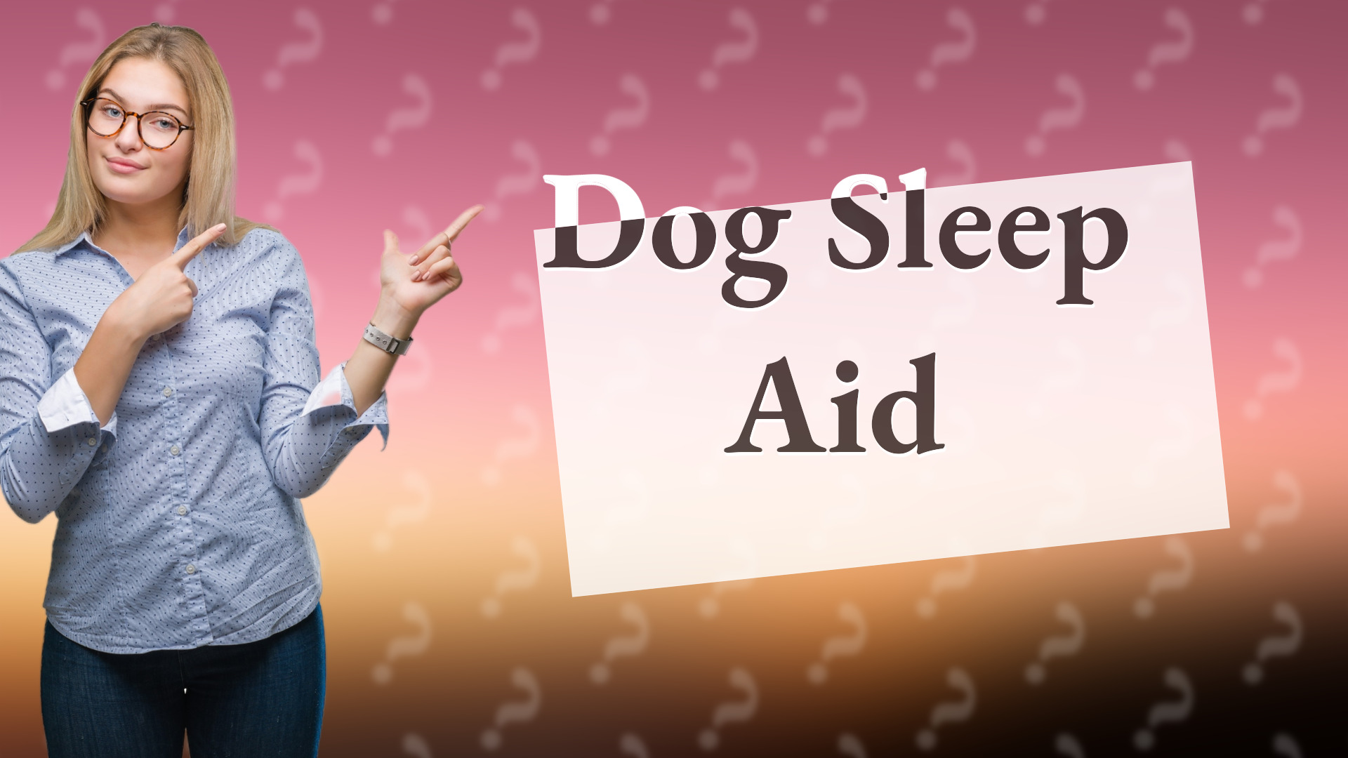 Dog Sleep Aid