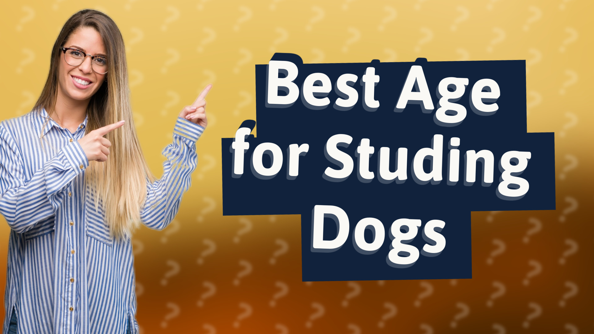 Best Age for Studing Dogs
