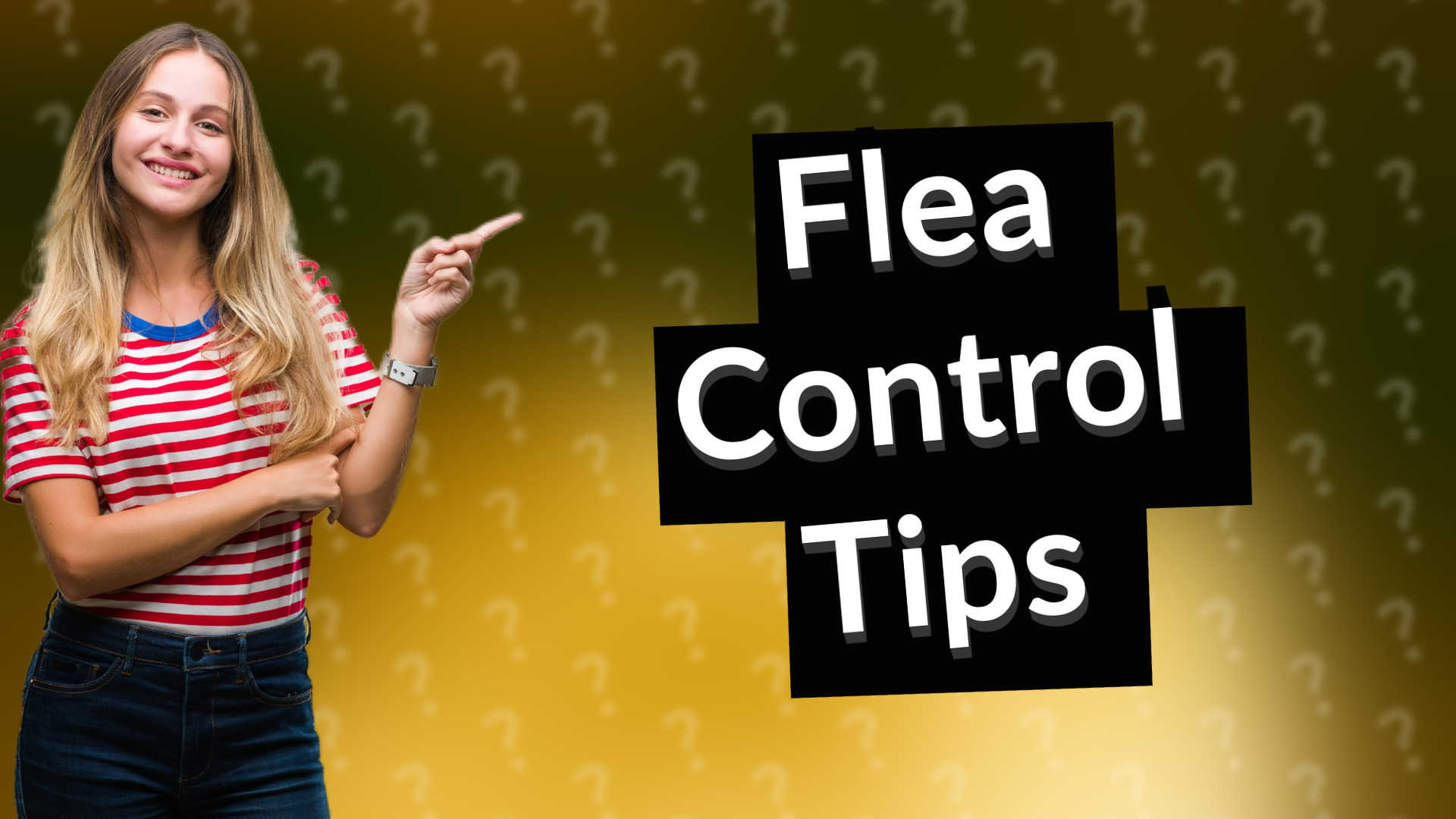 Flea Control Tips