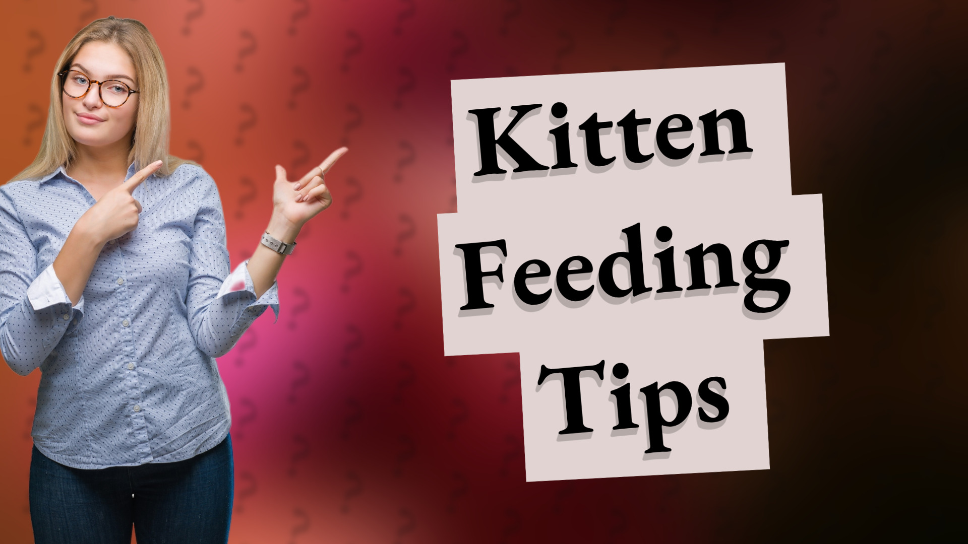 Kitten Feeding Tips
