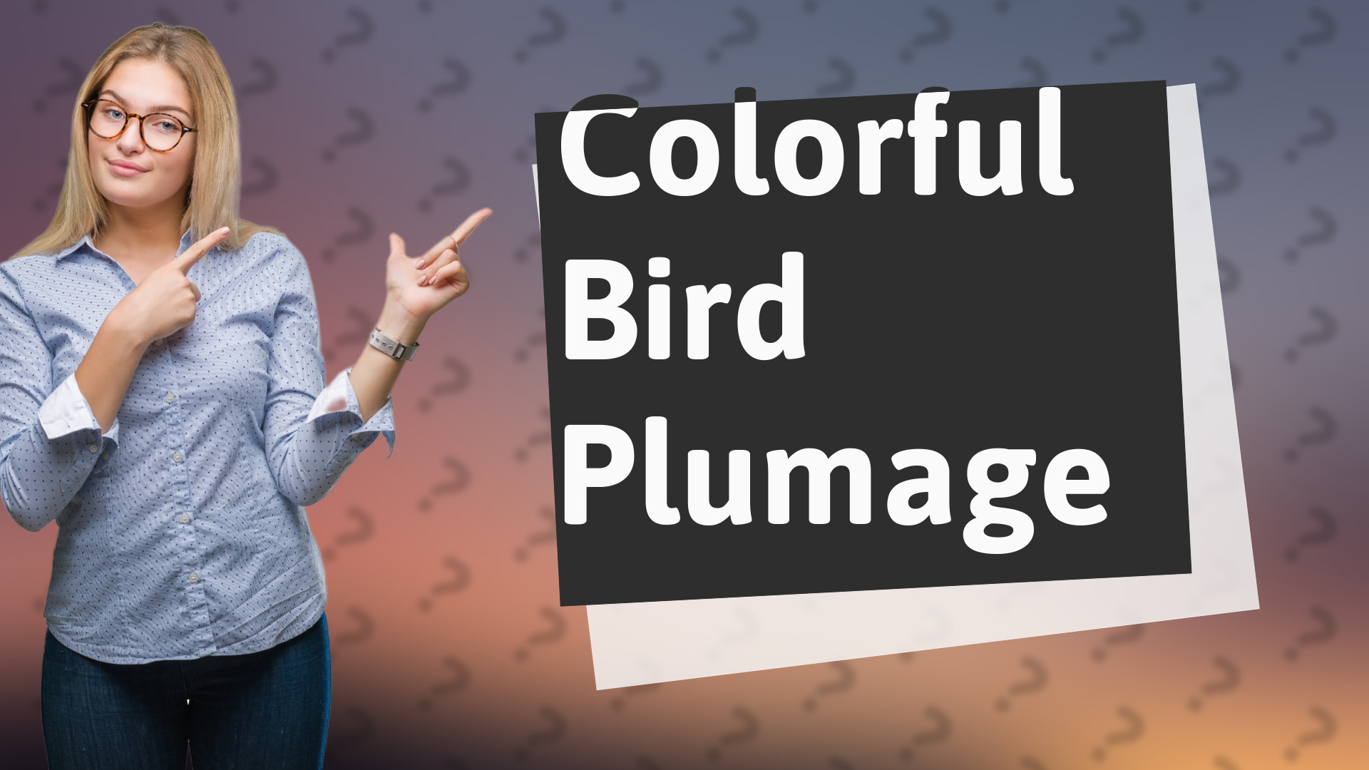 Colorful Bird Plumage