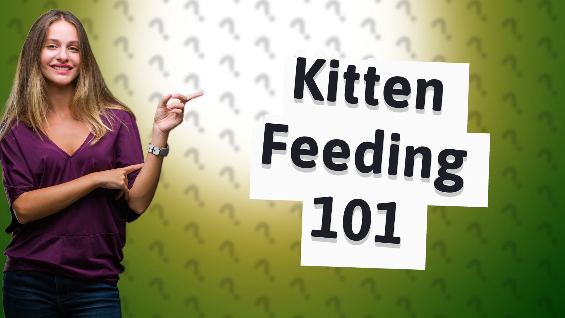 Kitten Feeding 101