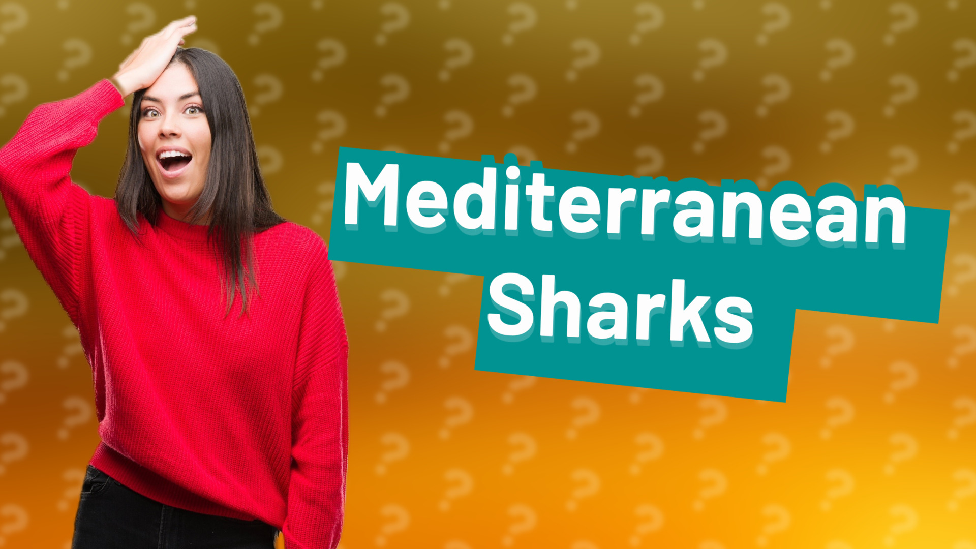 Mediterranean Sharks