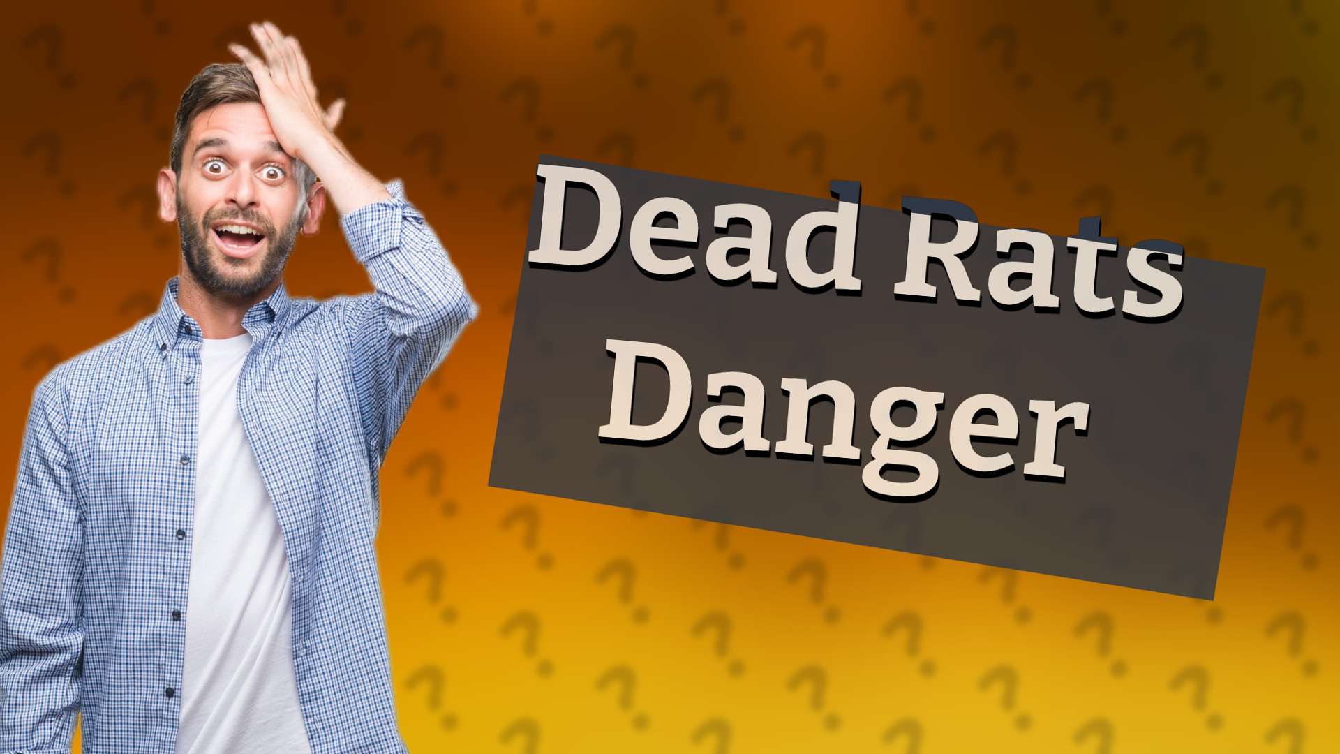 Dead Rats Danger