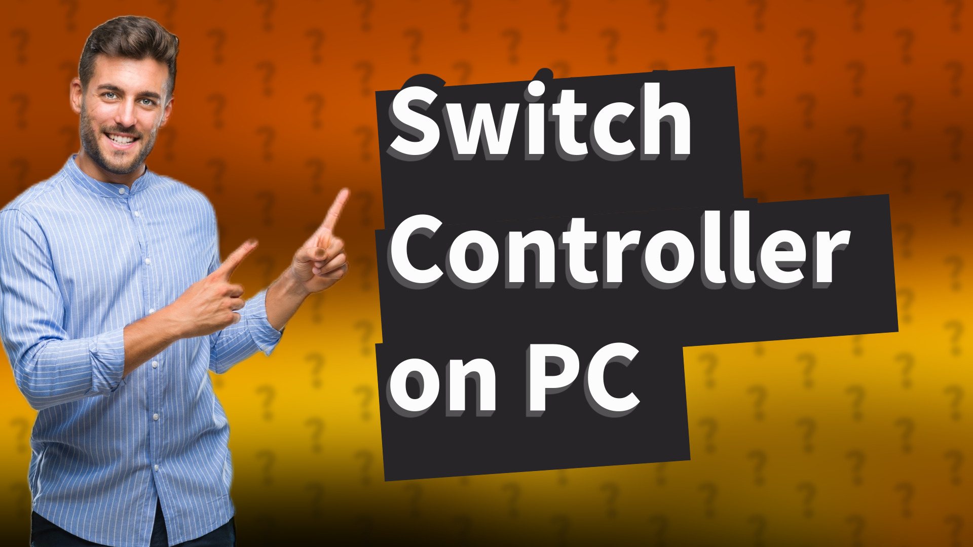 Switch Controller on PC