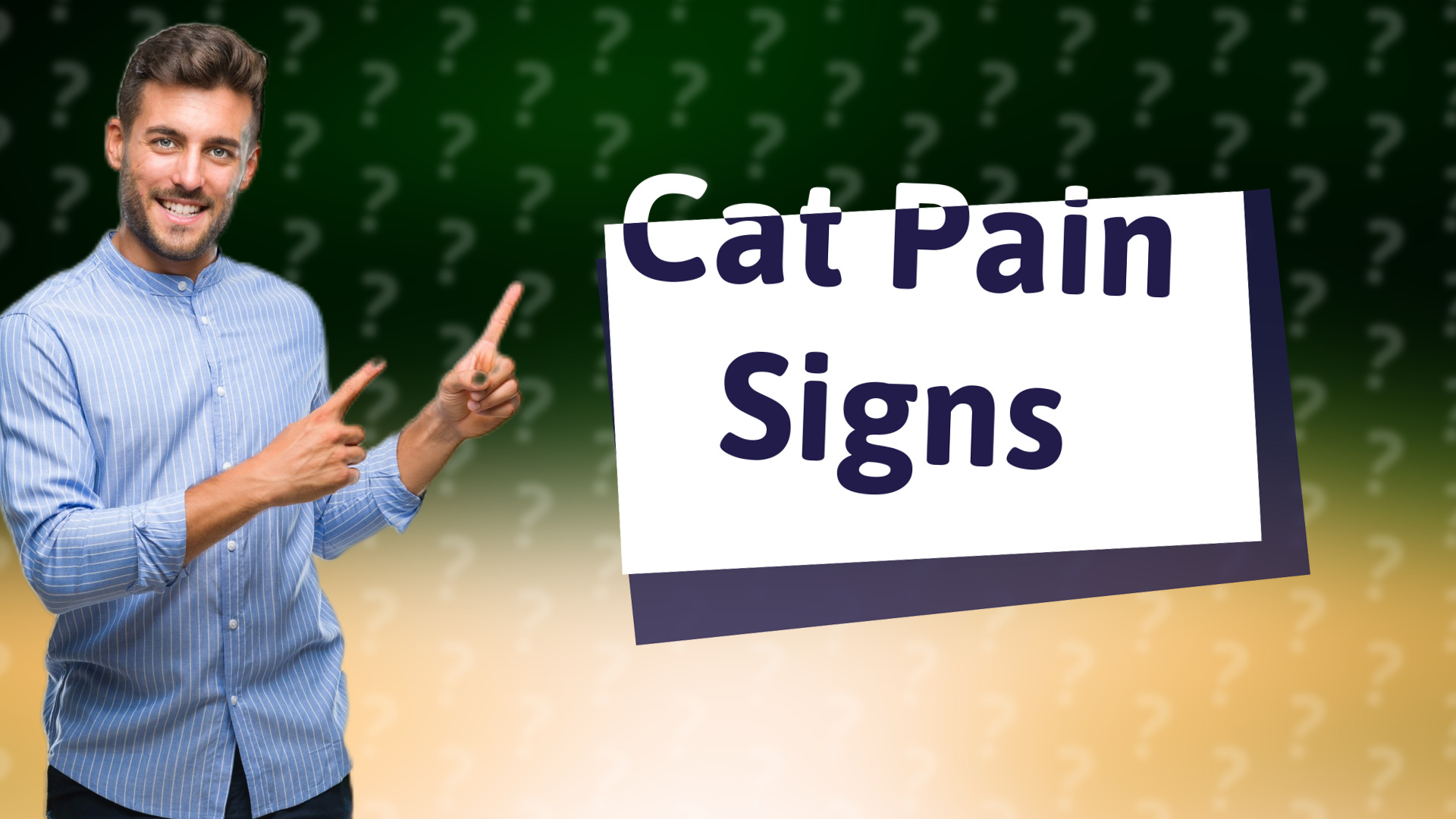 Cat Pain Signs